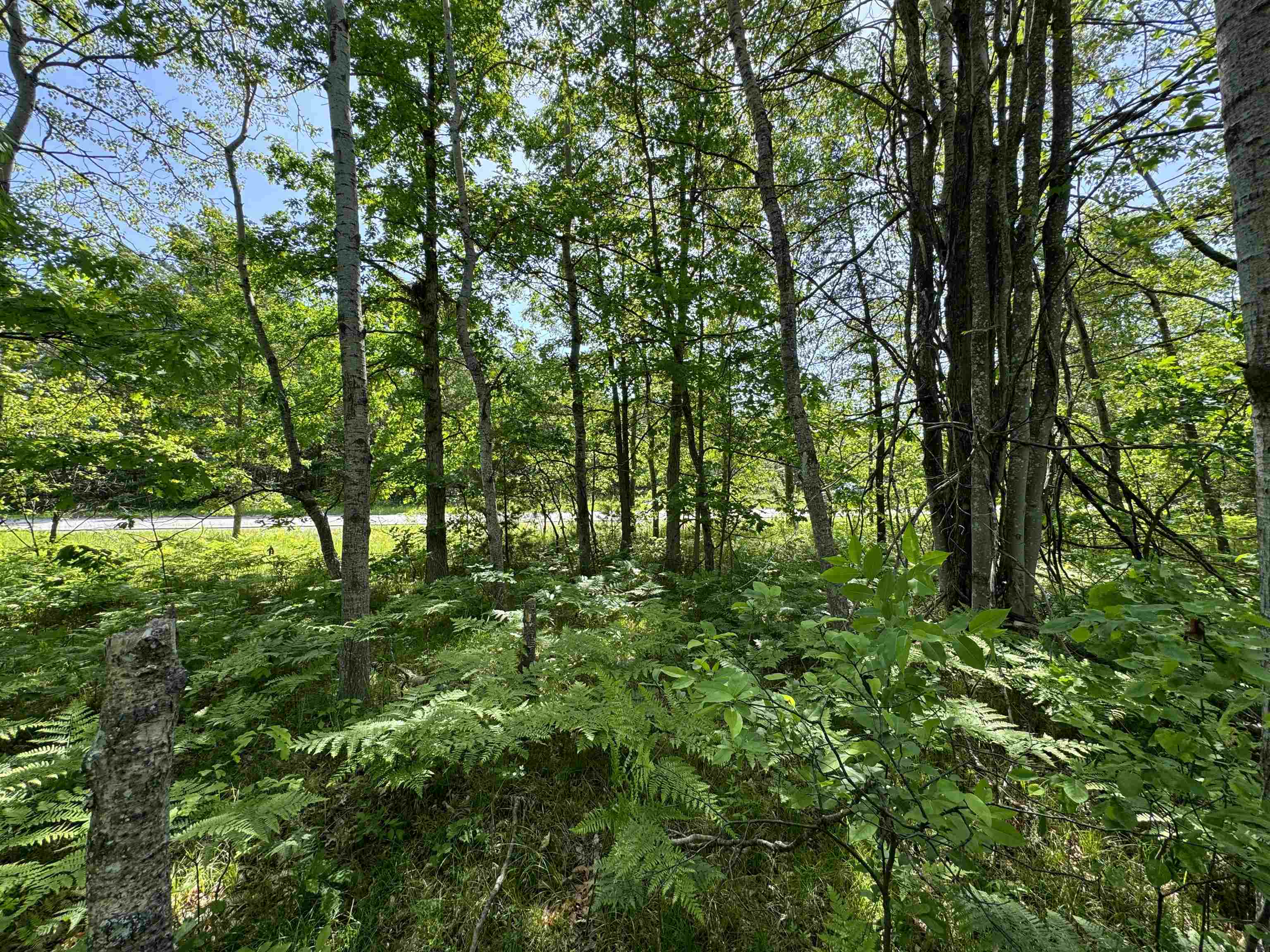 TBD Kalkaska Road Nw, Kalkaska, MI, 49646