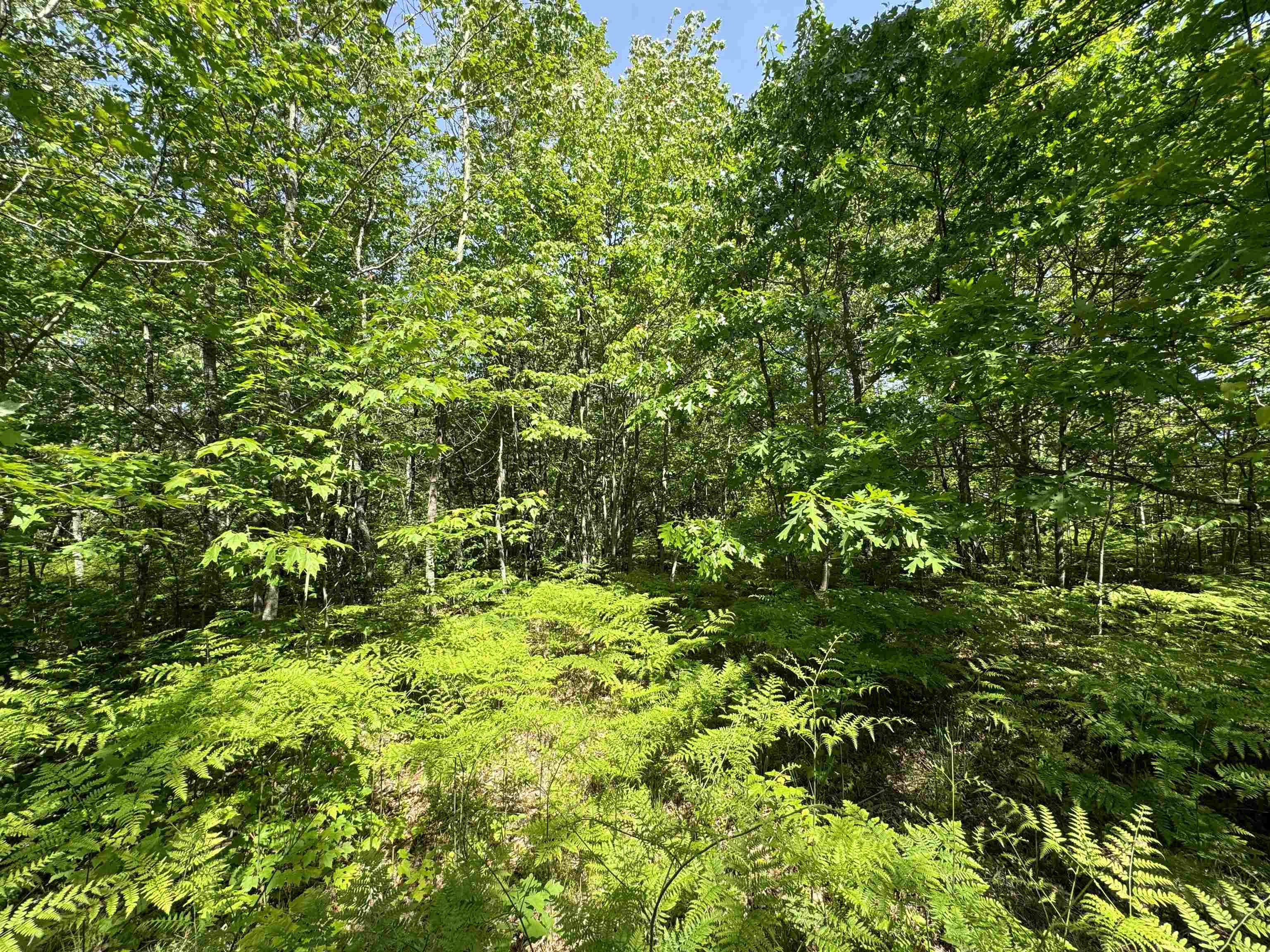 TBD Kalkaska Road Nw, Kalkaska, MI, 49646