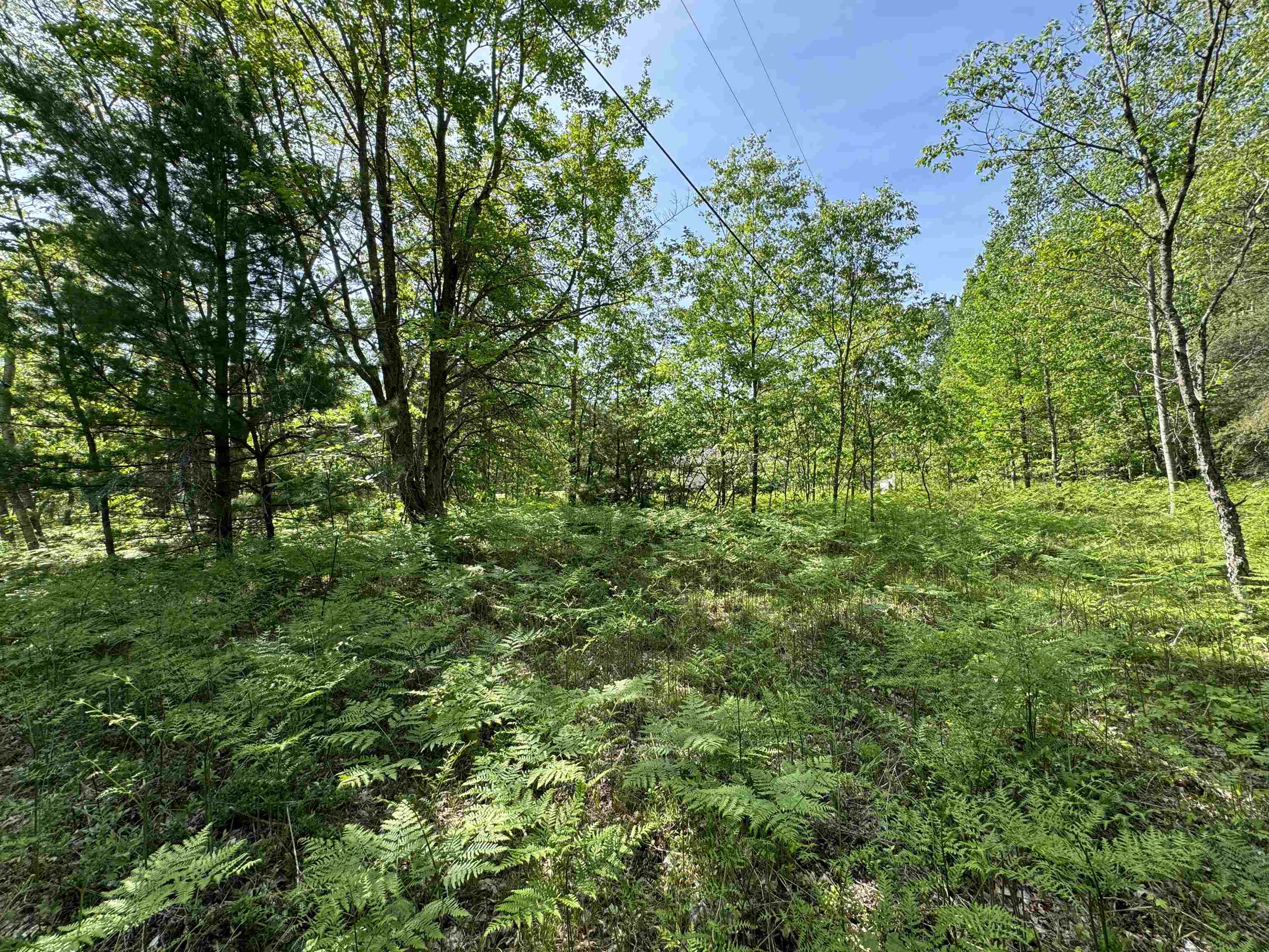 TBD Kalkaska Road Nw, Kalkaska, MI, 49646