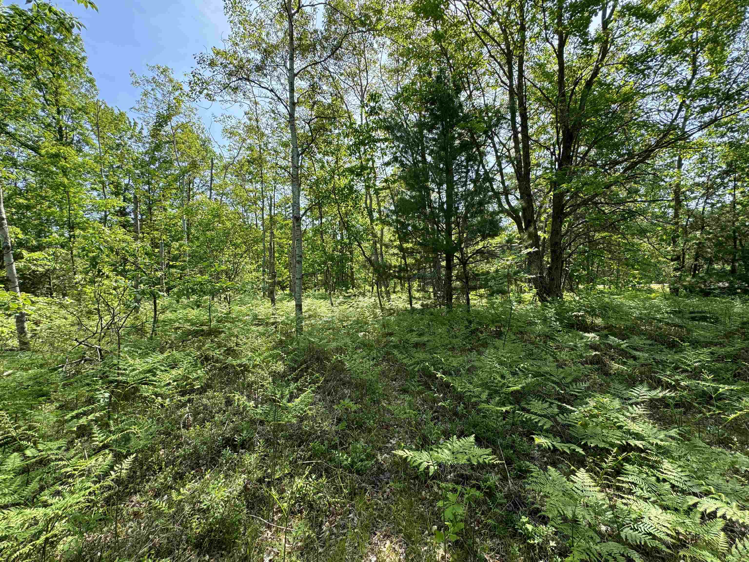 TBD Kalkaska Road Nw, Kalkaska, MI, 49646