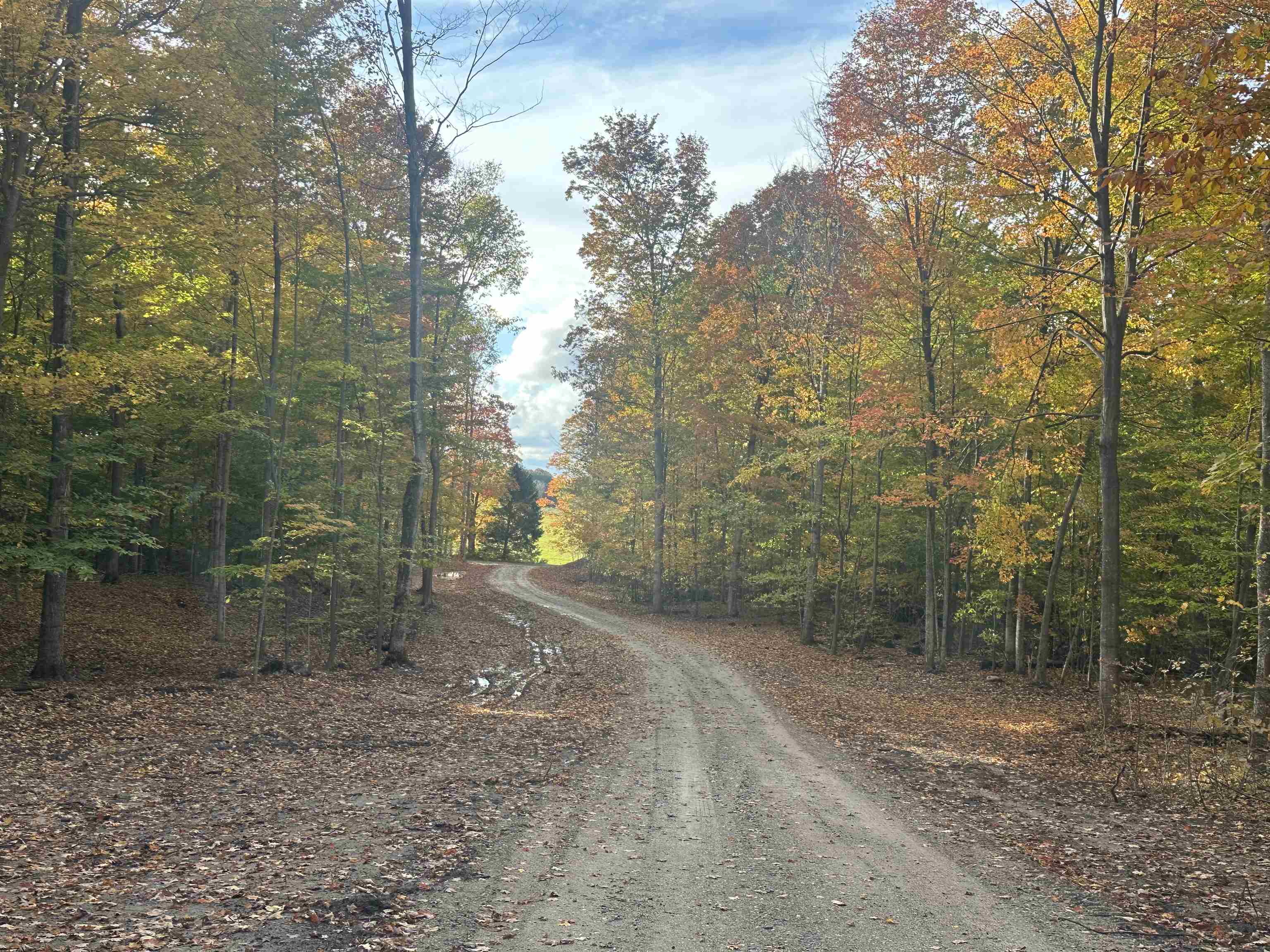 11605 S Tower, Maple City, MI, 49664