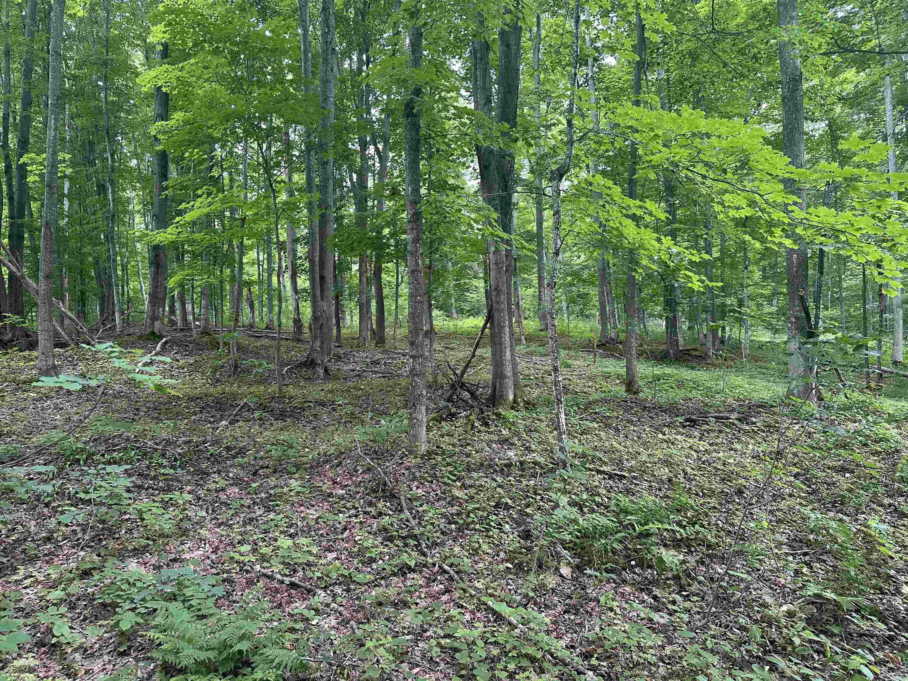 11605 S Tower, Maple City, MI, 49664