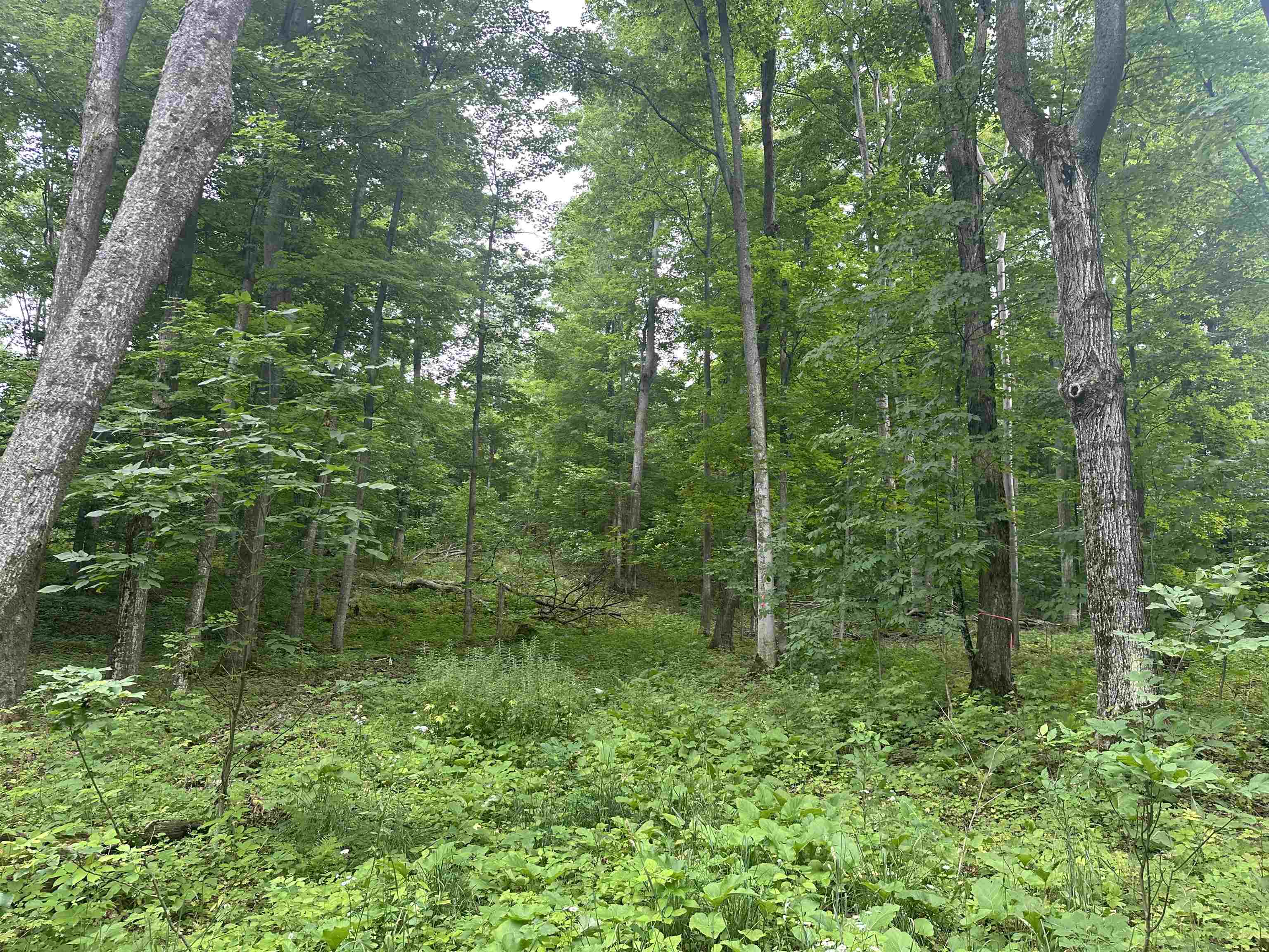 11605 S Tower, Maple City, MI, 49664