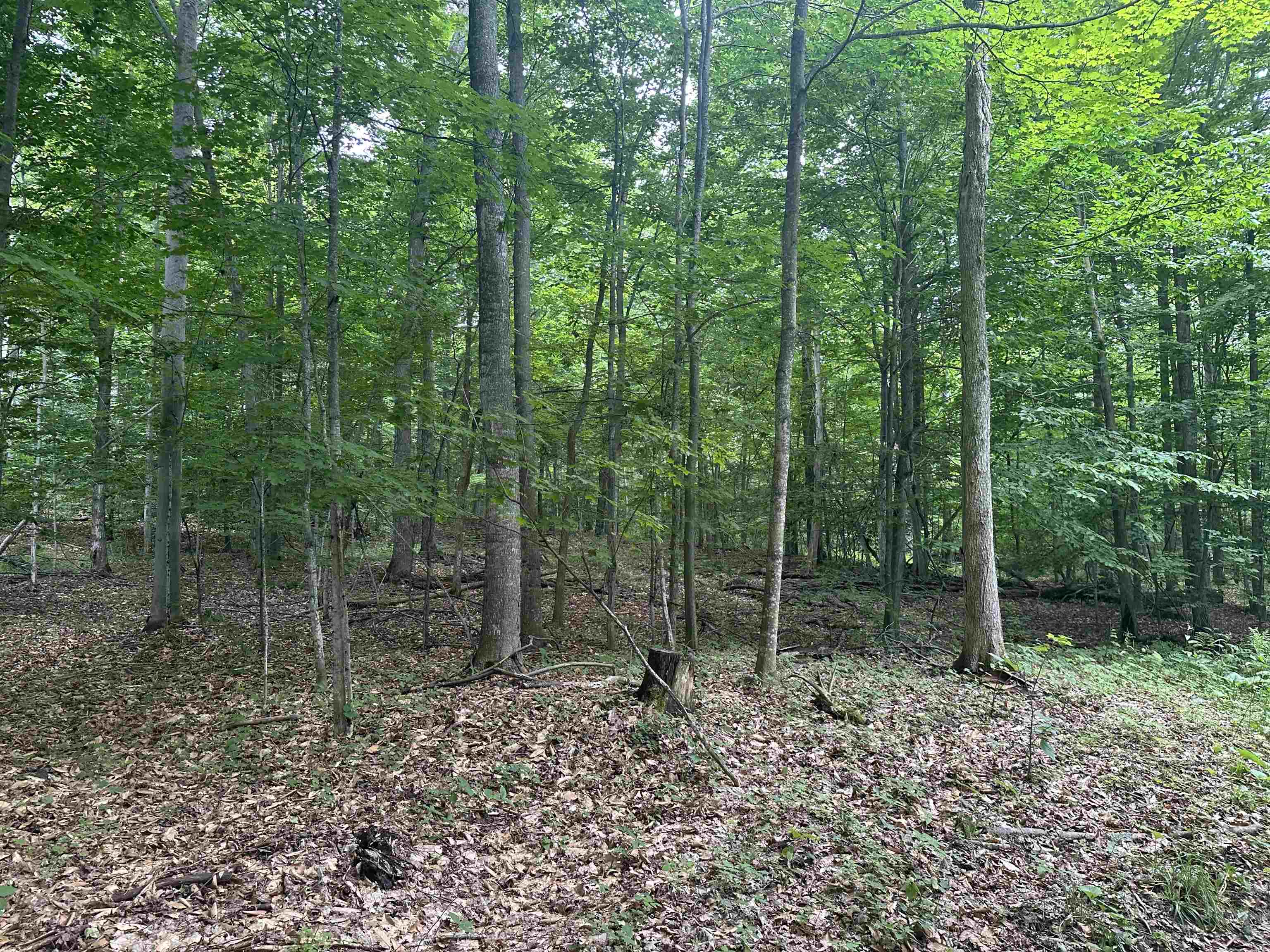 11605 S Tower, Maple City, MI, 49664