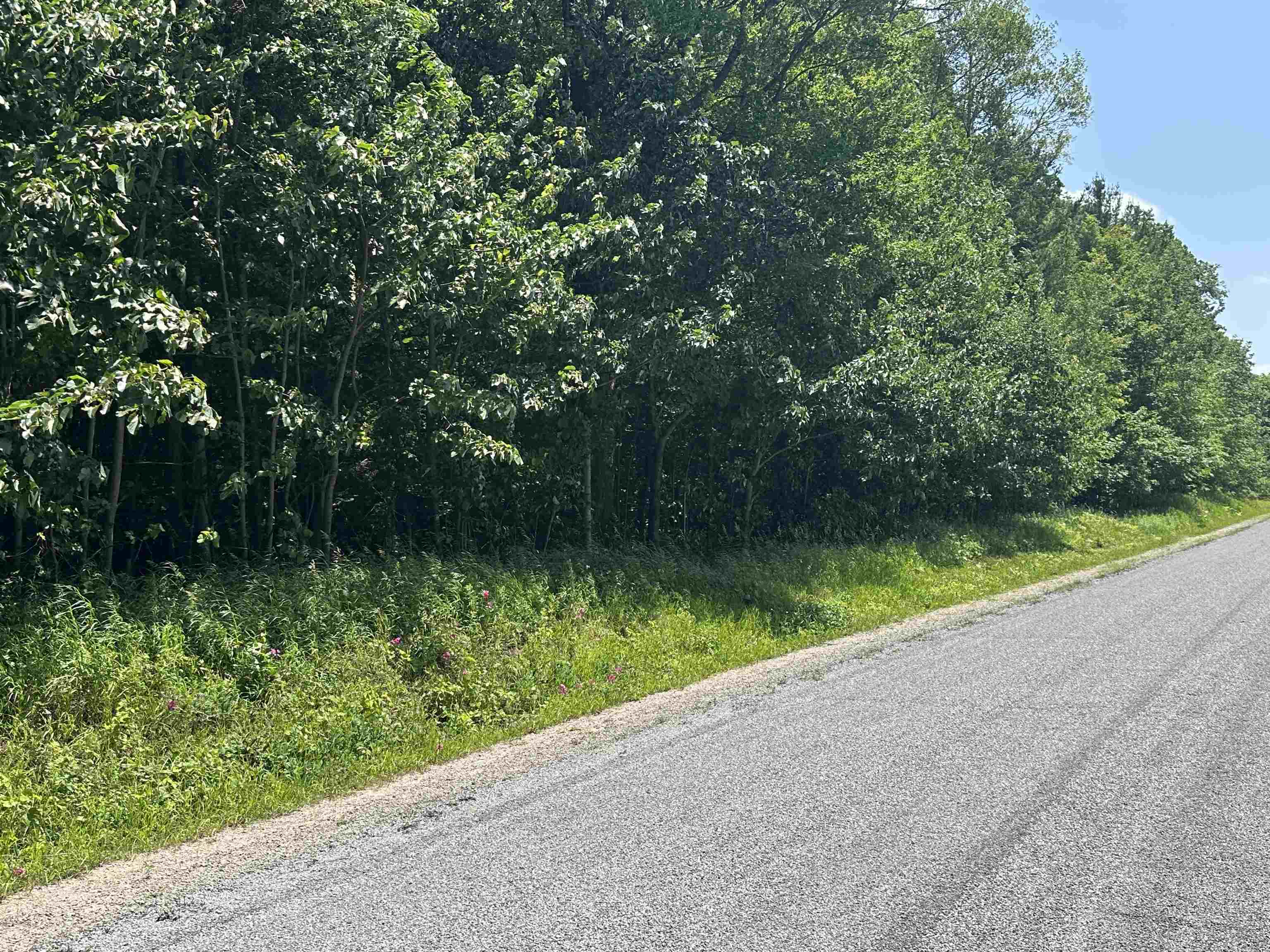 11605 S Tower, Maple City, MI, 49664