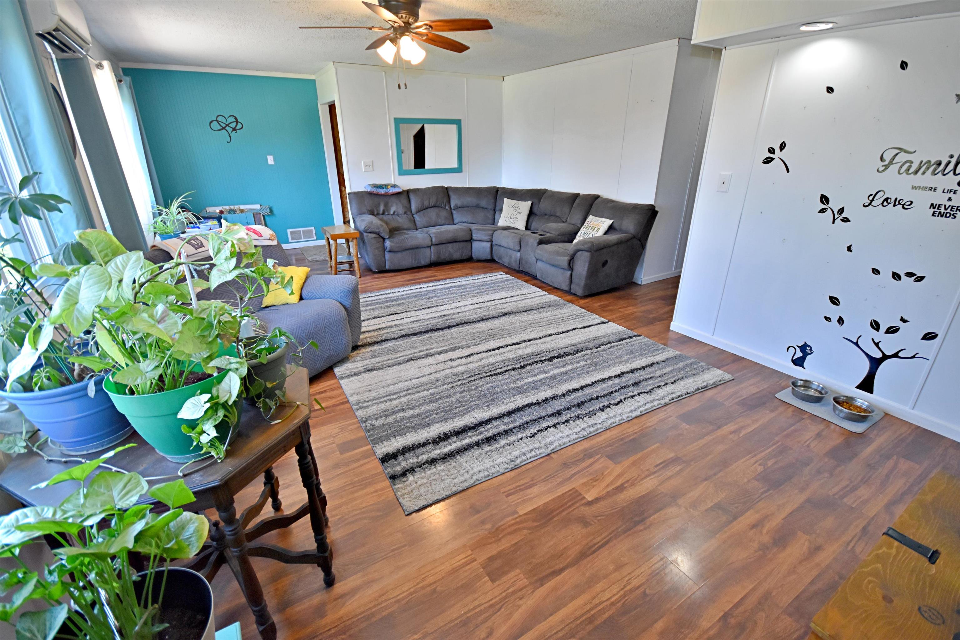 10630 W Packingham Road, Manton, MI, 49663