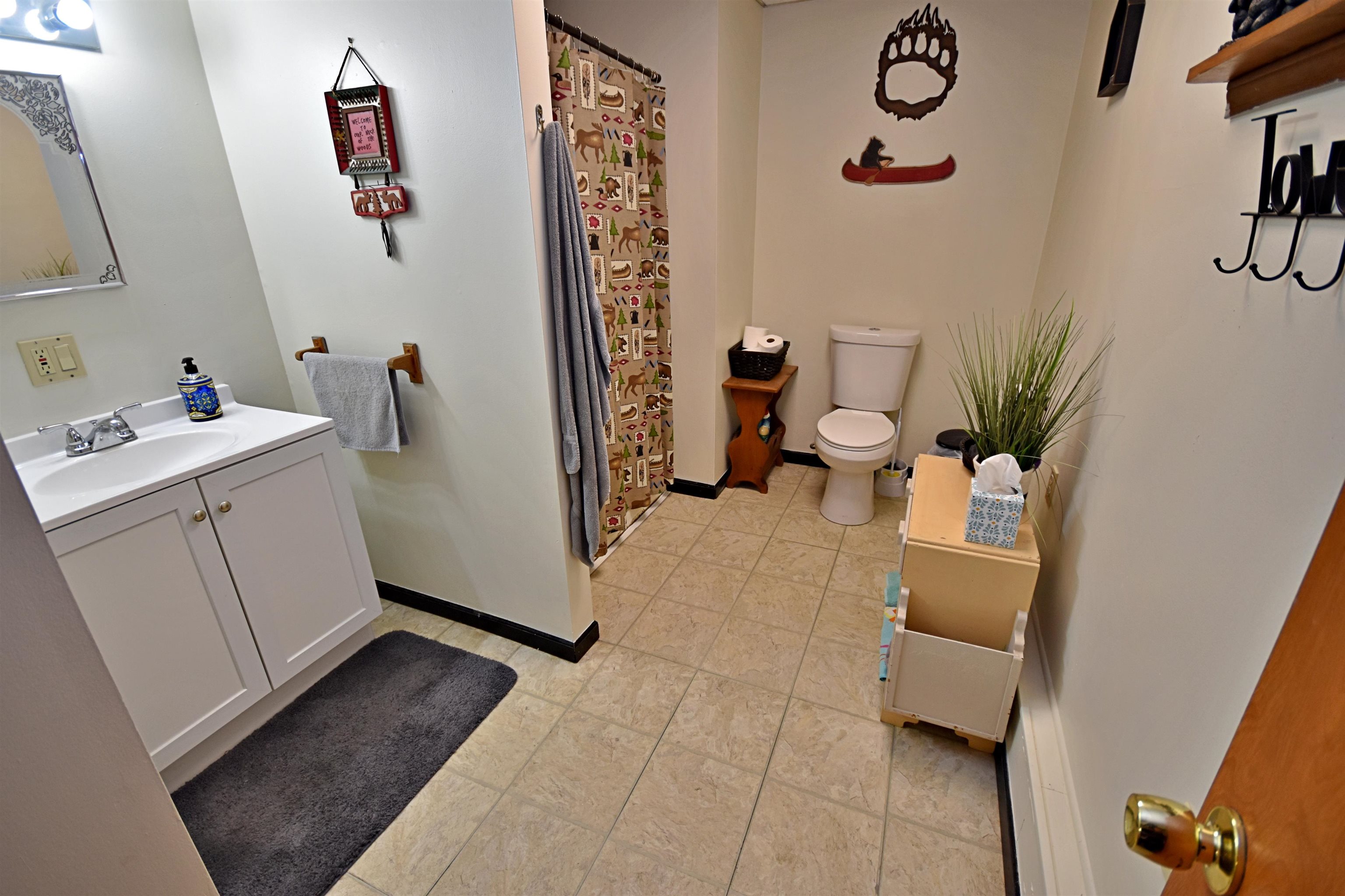 10630 W Packingham Road, Manton, MI, 49663