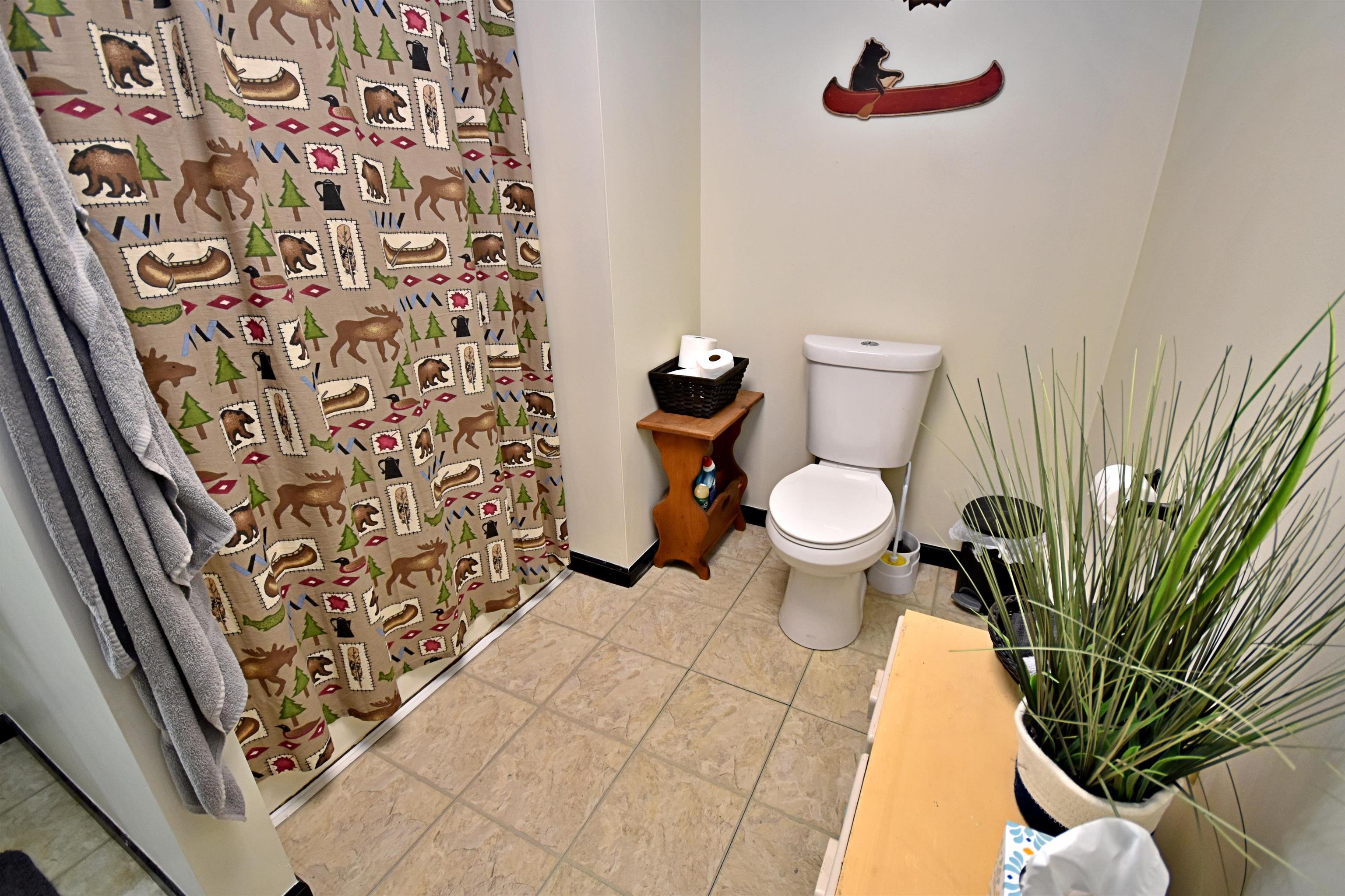 10630 W Packingham Road, Manton, MI, 49663