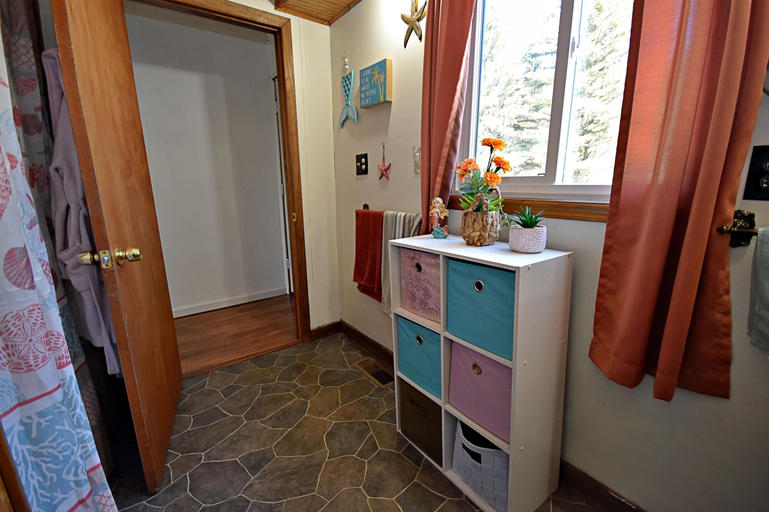 10630 W Packingham Road, Manton, MI, 49663