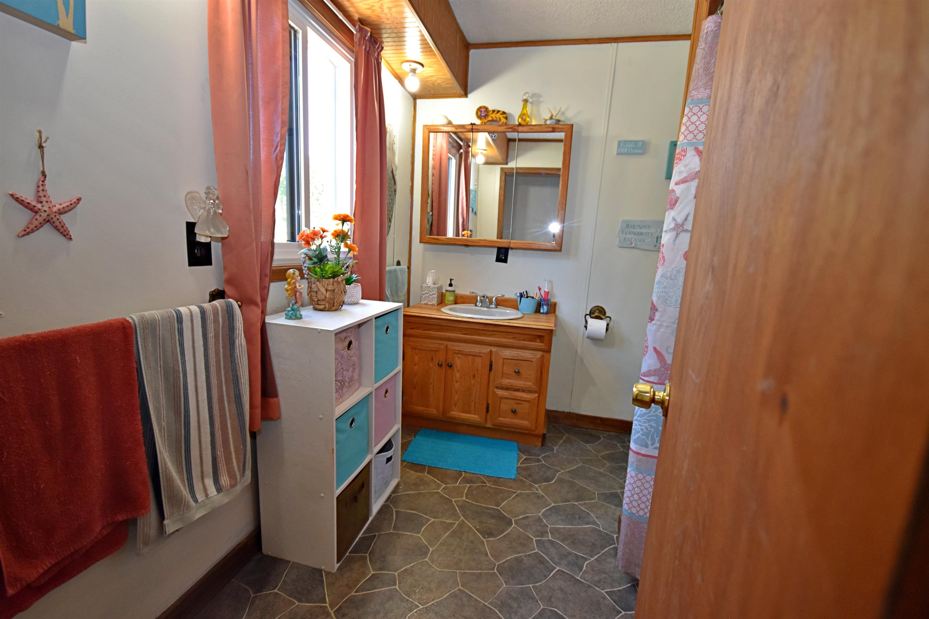 10630 W Packingham Road, Manton, MI, 49663