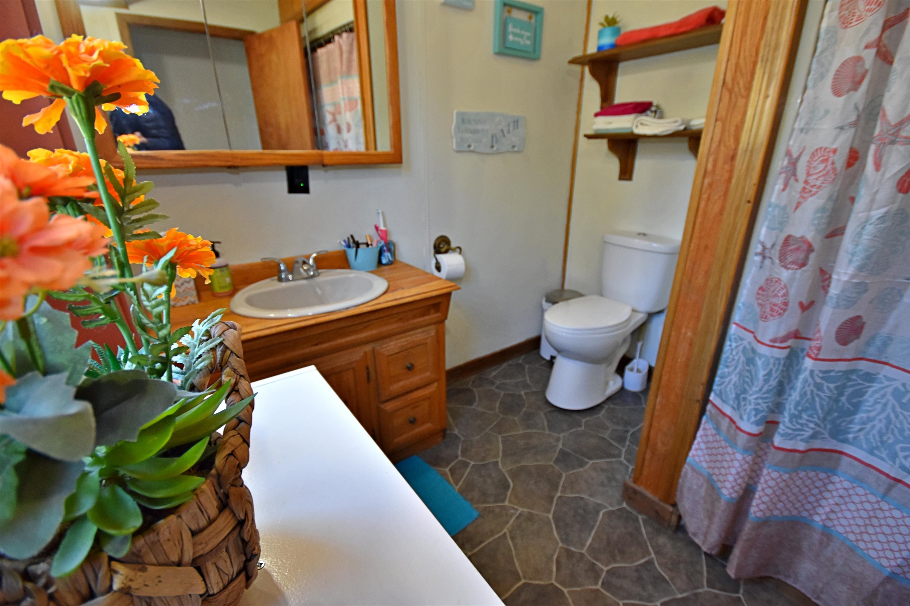 10630 W Packingham Road, Manton, MI, 49663