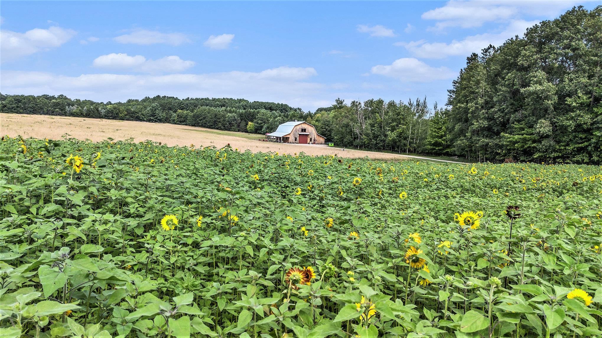 3625 Swaney Road, Traverse City, MI, 49686