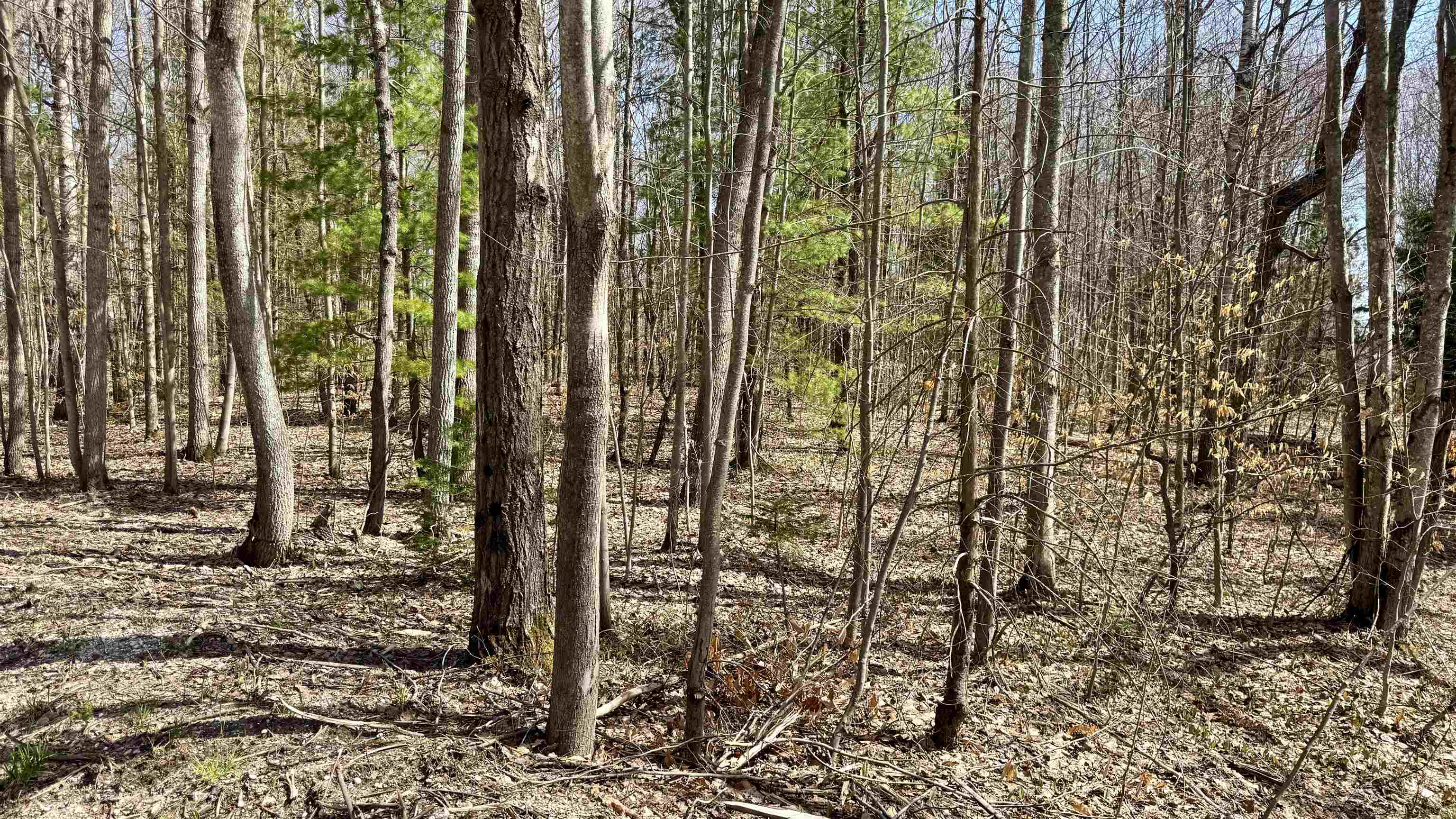 00 N 1 Road, Buckley, MI, 49620