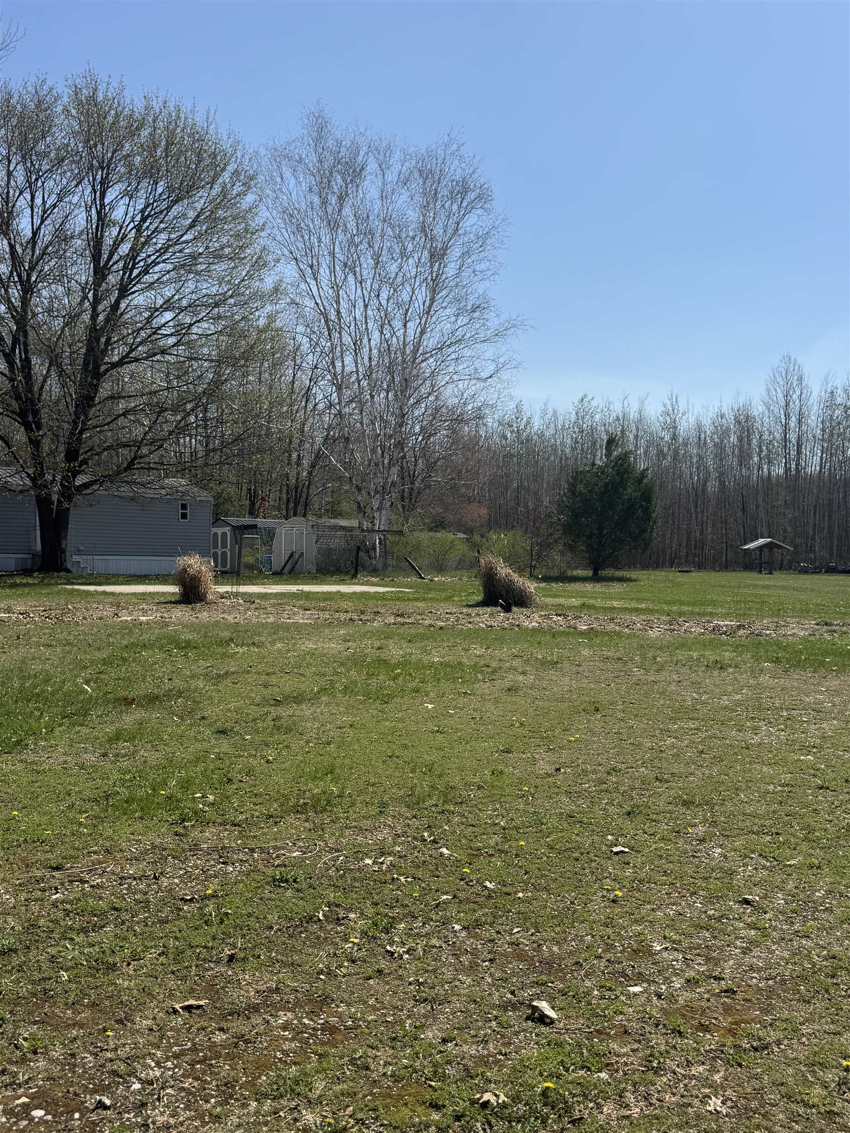 4951 Airstrip Drive, Barryton, MI, 49305