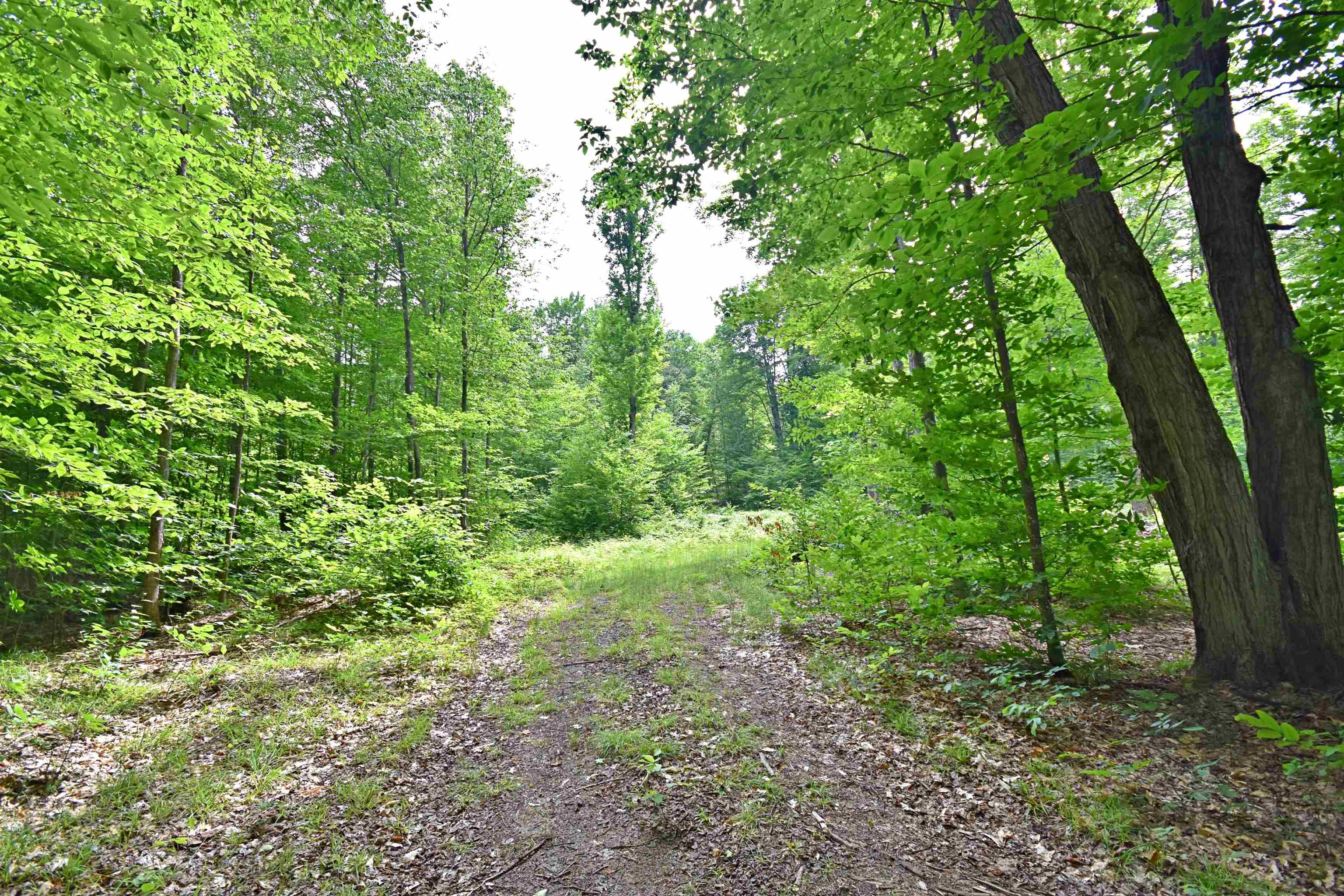 2nd image of Vl 00 Cherry Hill Rd, Fife Lake, MI 49633 | MLS# 78080067335