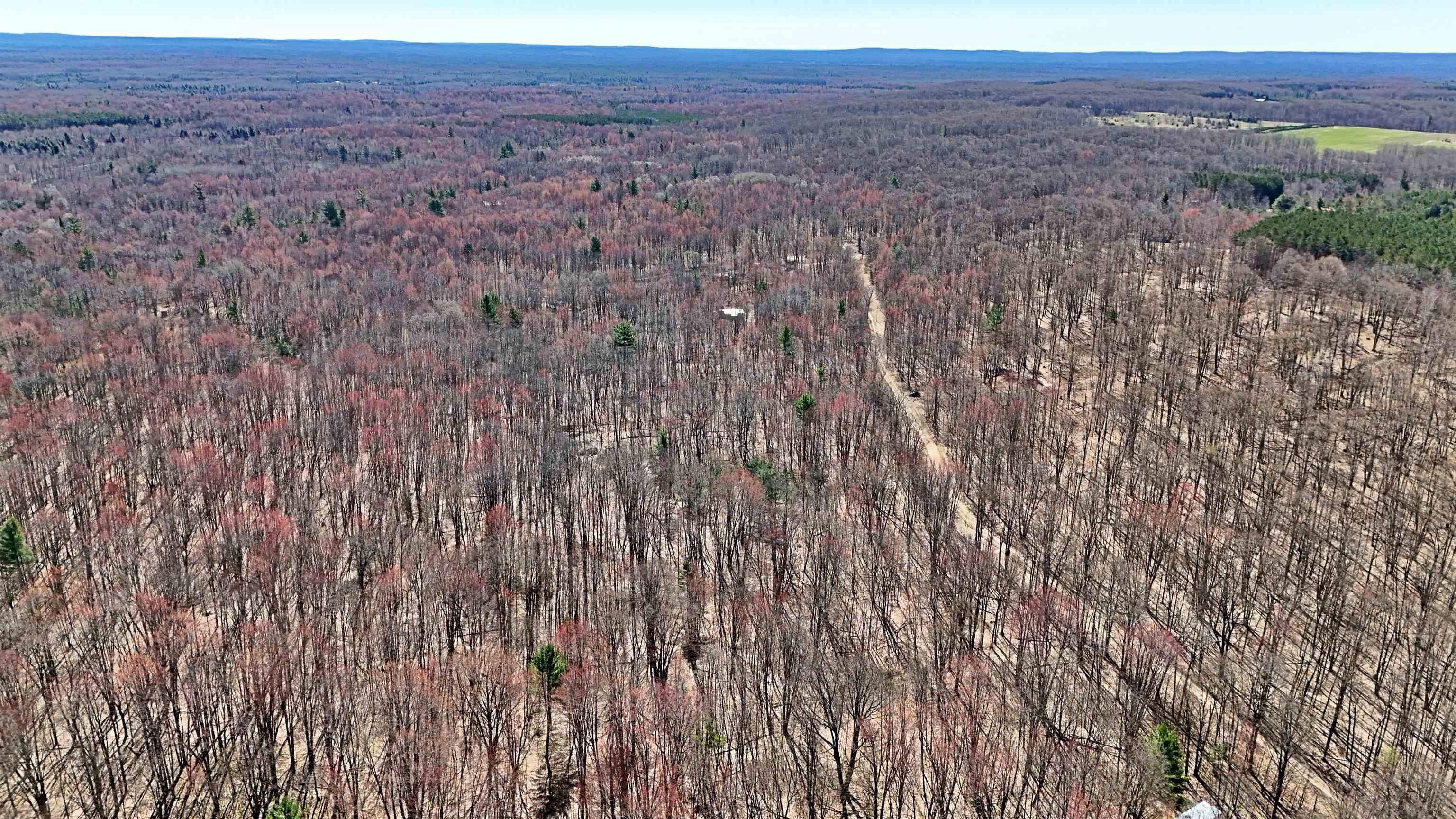 VL 00 Cherry Hill Road, Fife Lake, MI, 49633