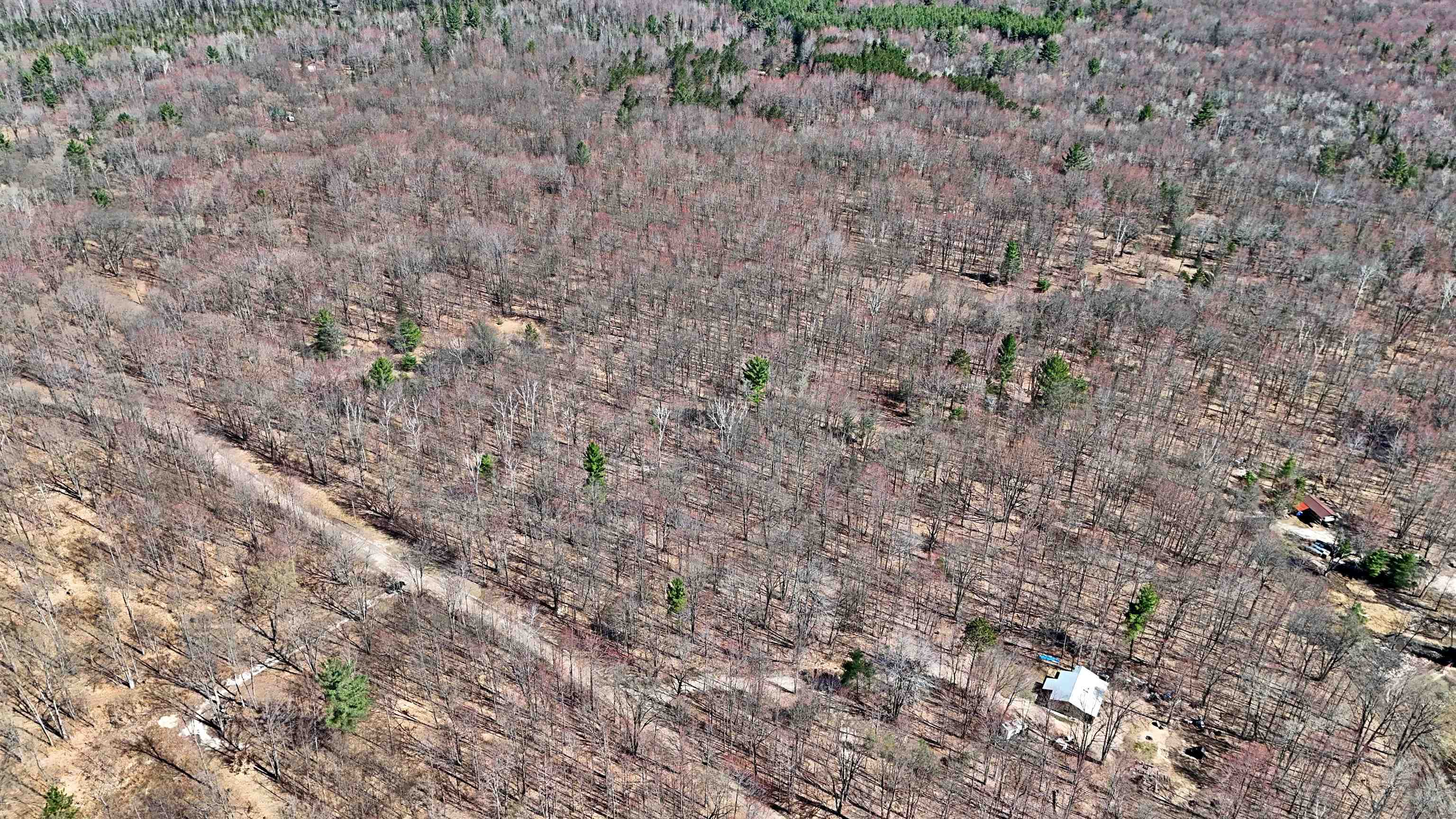 VL 00 Cherry Hill Road, Fife Lake, MI, 49633