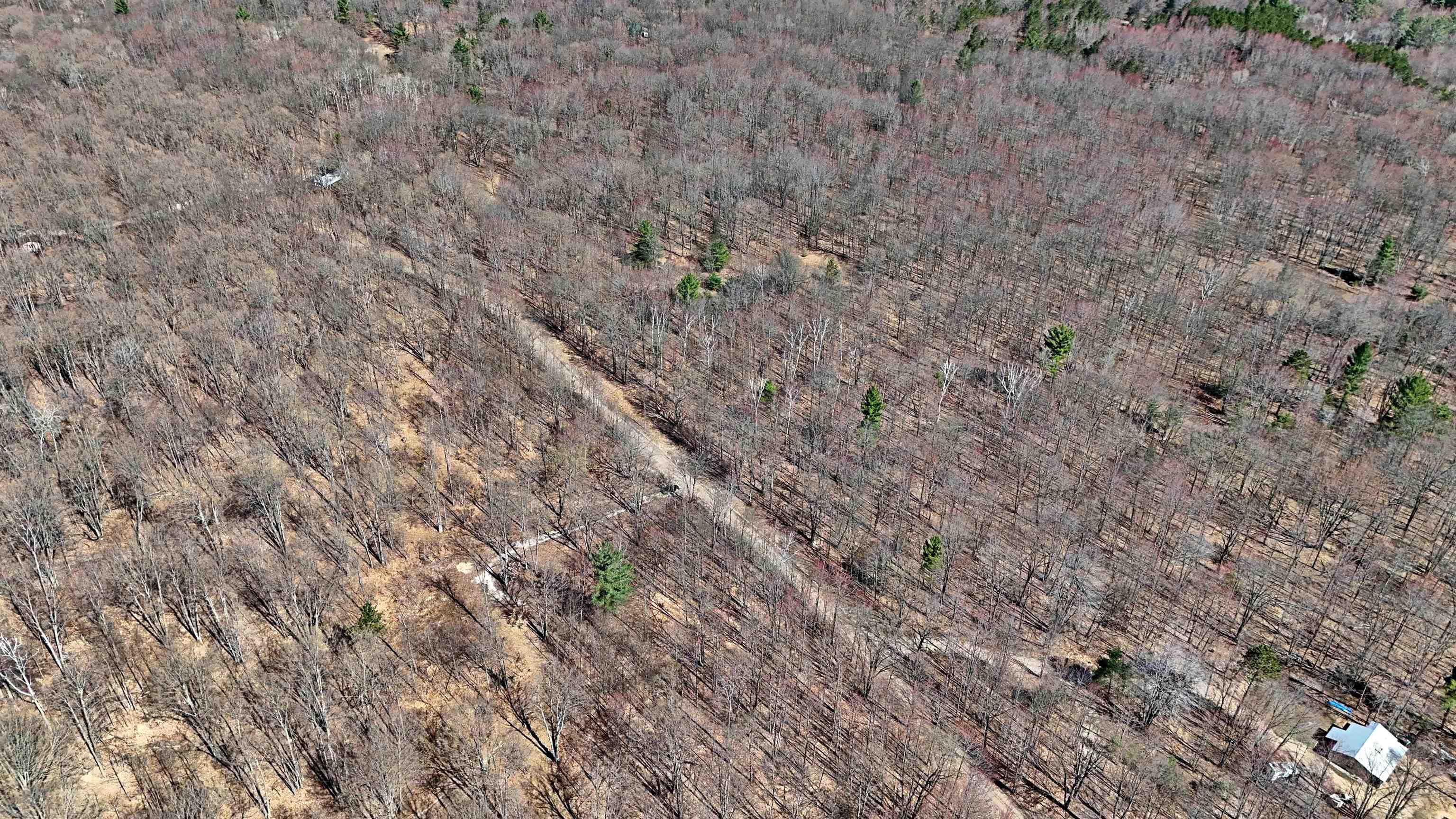 VL 00 Cherry Hill Road, Fife Lake, MI, 49633