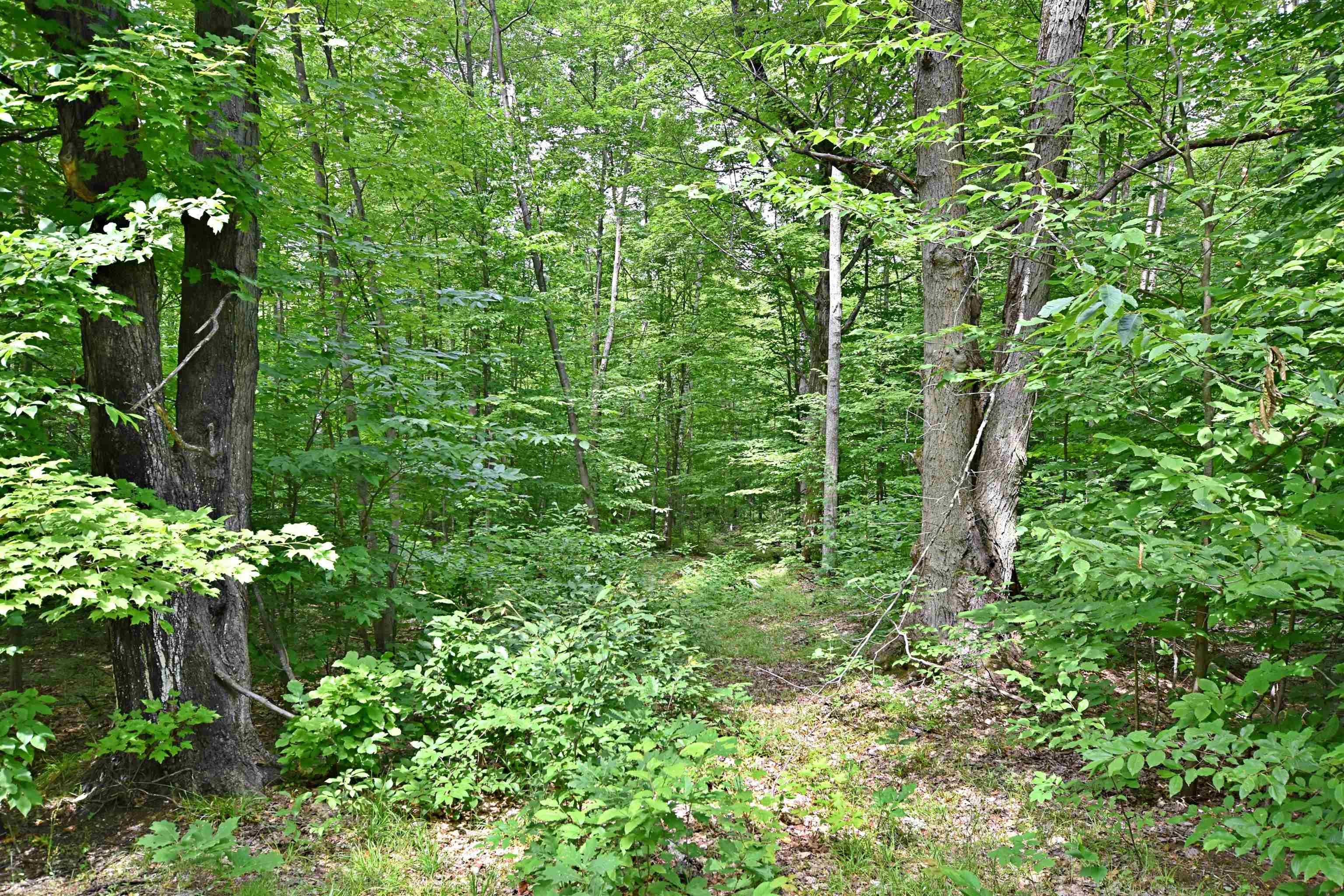 3rd image of Vl 00 Cherry Hill Rd, Fife Lake, MI 49633 | MLS# 78080067335