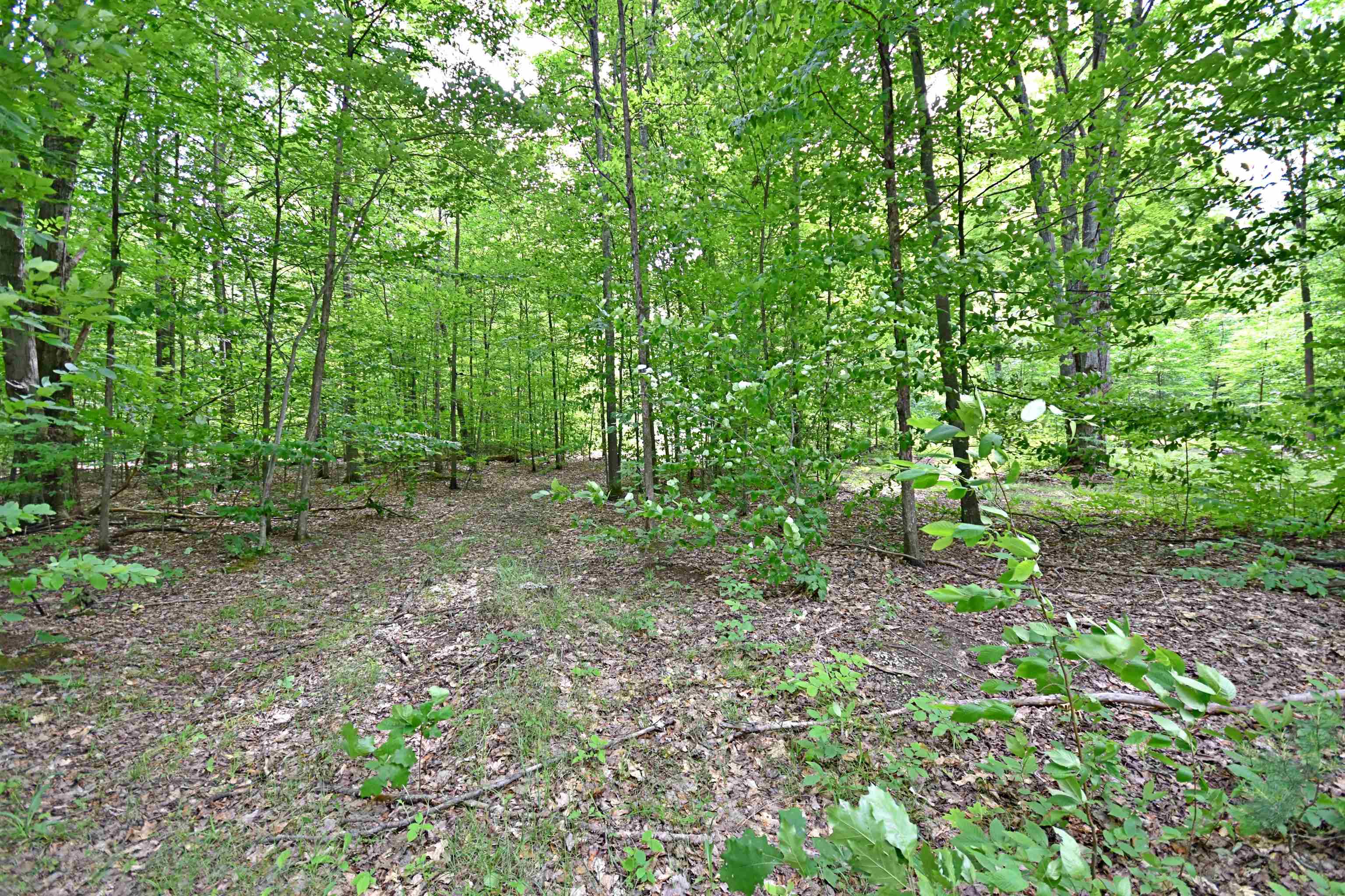 4th image of Vl 00 Cherry Hill Rd, Fife Lake, MI 49633 | MLS# 78080067335