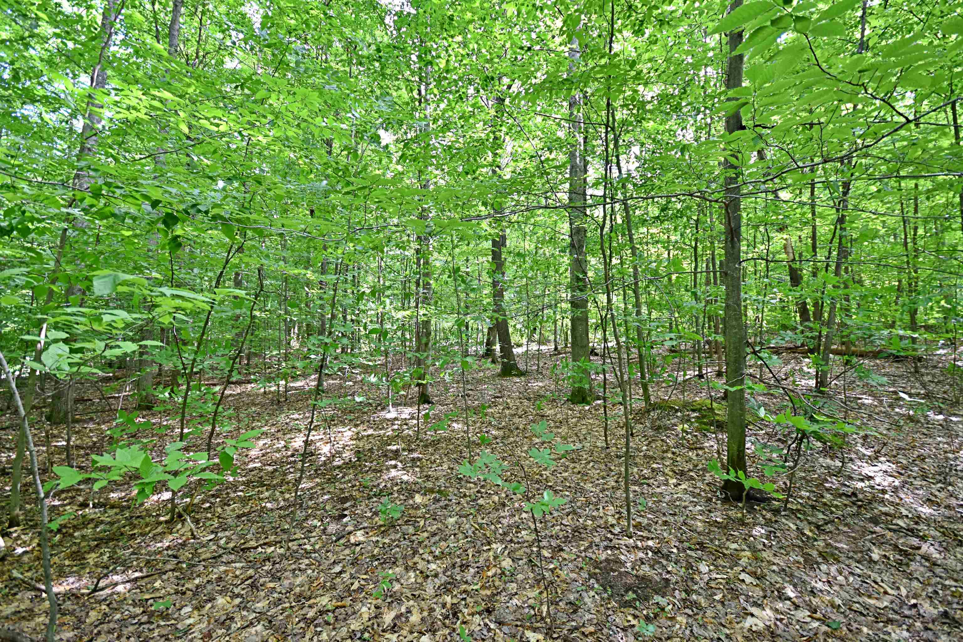 5th image of Vl 00 Cherry Hill Rd, Fife Lake, MI 49633 | MLS# 78080067335