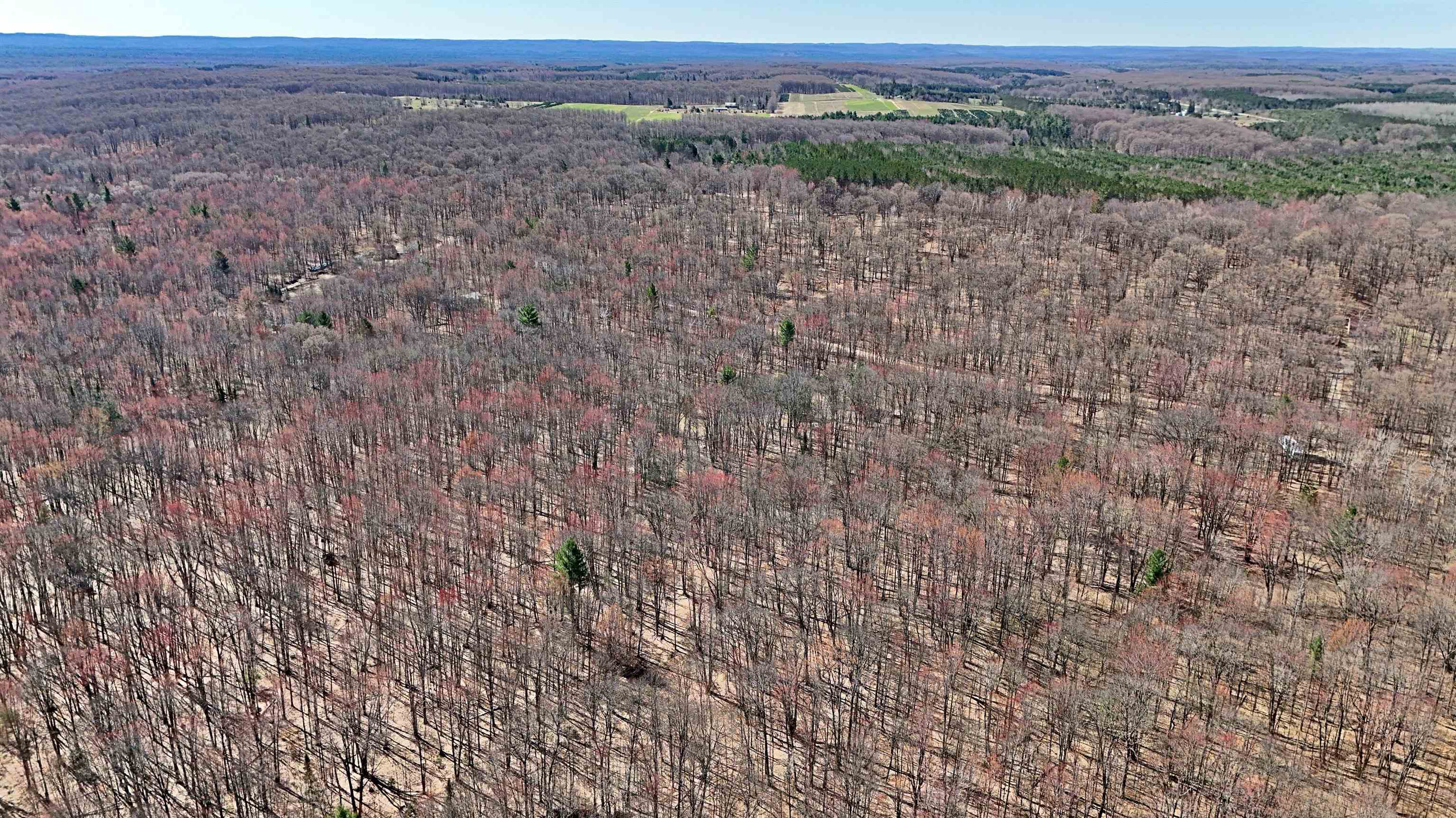 VL 00 Cherry Hill Road, Fife Lake, MI, 49633