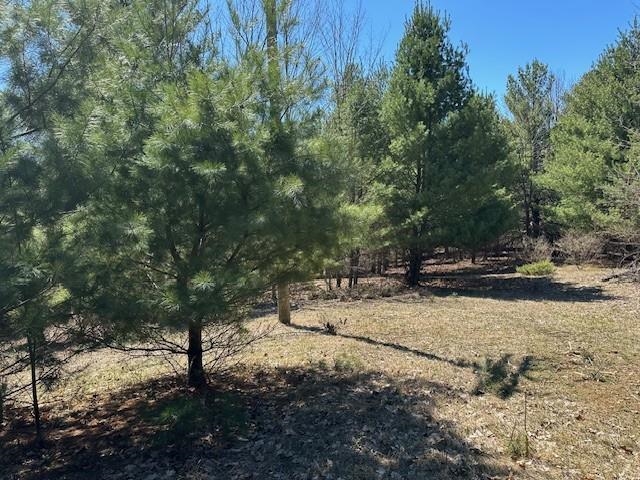 Lots B & C SE Torch Lake Drive, Bellaire, MI, 49615