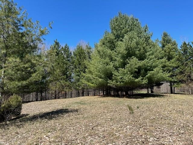 Lots B & C SE Torch Lake Drive, Bellaire, MI, 49615