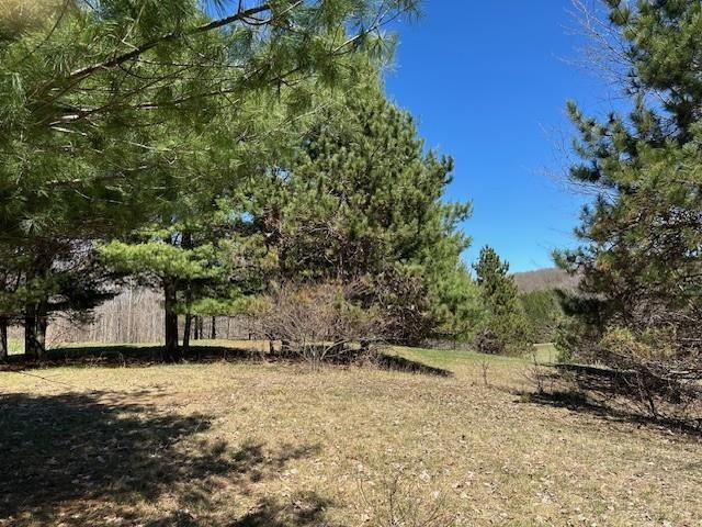 Lots B & C SE Torch Lake Drive, Bellaire, MI, 49615