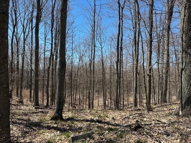 Lots B & C SE Torch Lake Drive, Bellaire, MI, 49615