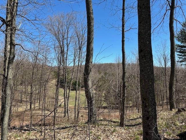 Lots B & C SE Torch Lake Drive, Bellaire, MI, 49615