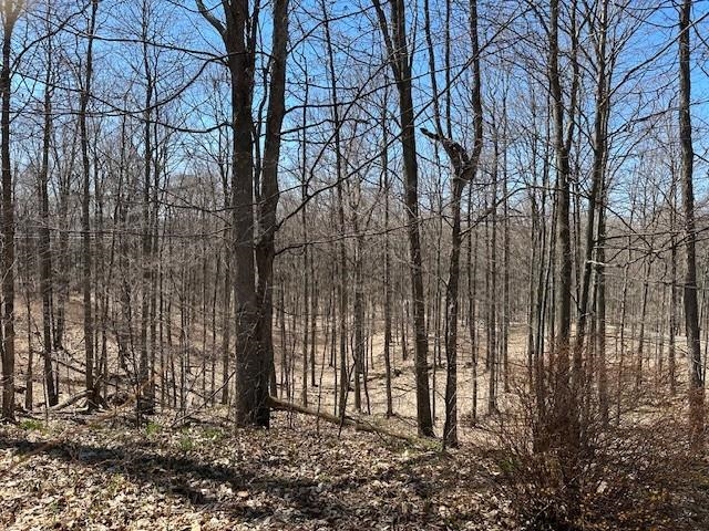 Lots B & C SE Torch Lake Drive, Bellaire, MI, 49615