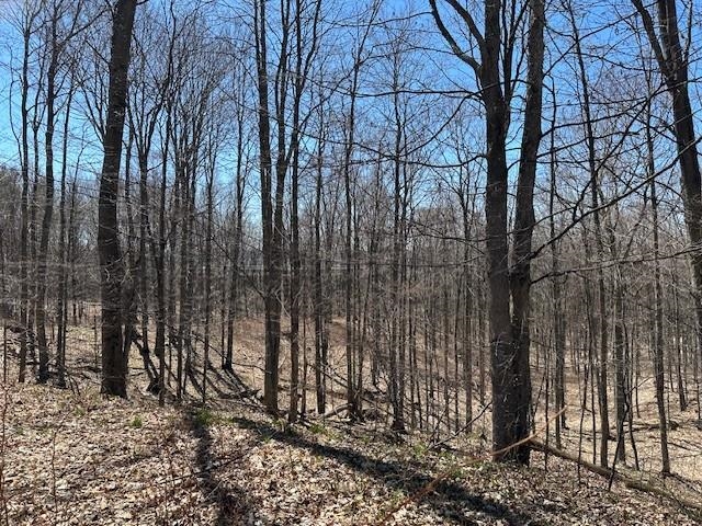 Lots B & C SE Torch Lake Drive, Bellaire, MI, 49615