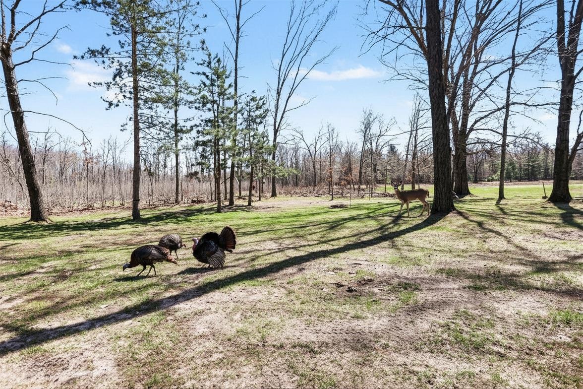 491 E Big Stone Lake, Lake, MI, 48632