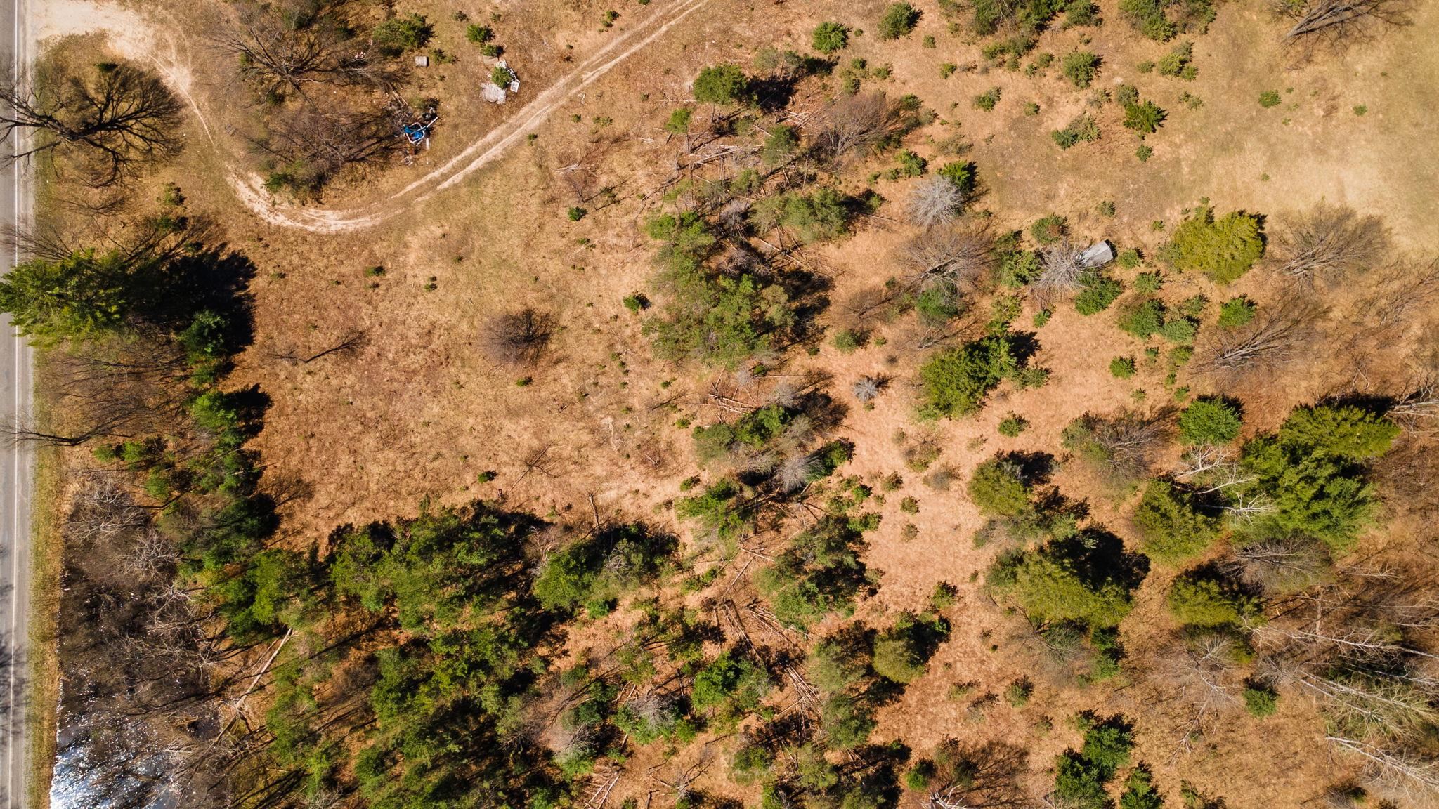 0 Ingersoll Road, Fife Lake, MI, 49633