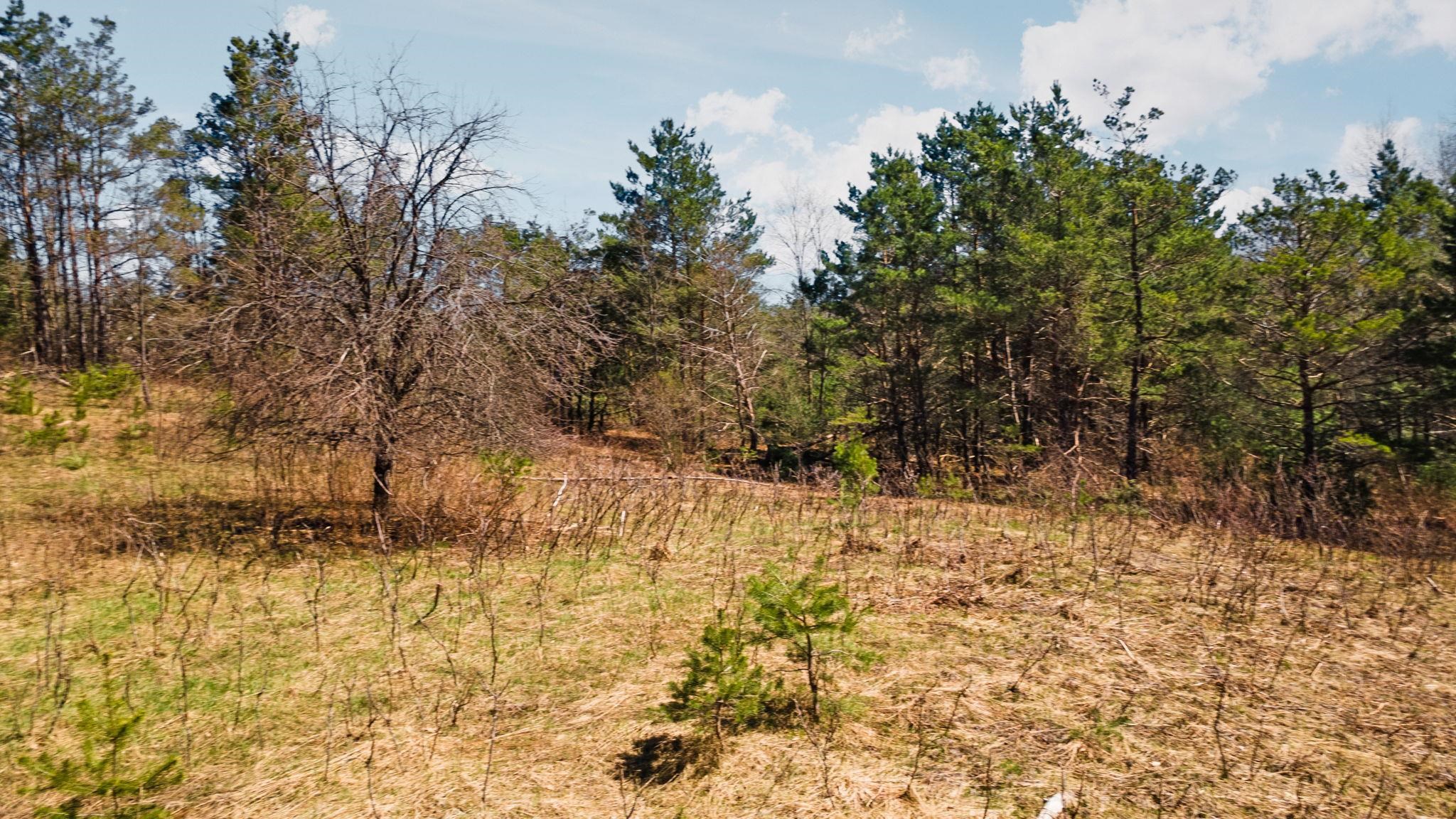 0 Ingersoll Road, Fife Lake, MI, 49633