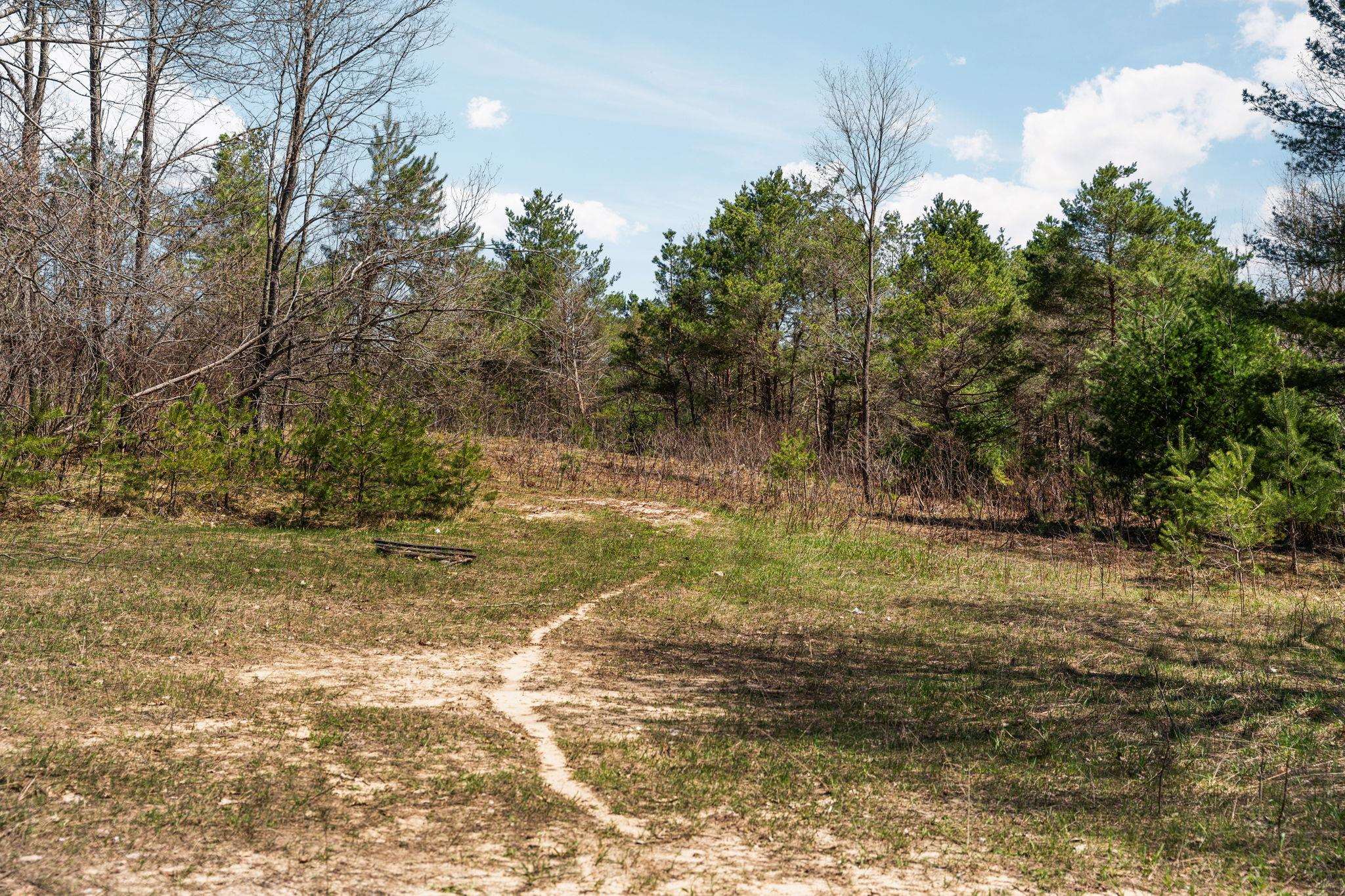 0 Ingersoll Road, Fife Lake, MI, 49633