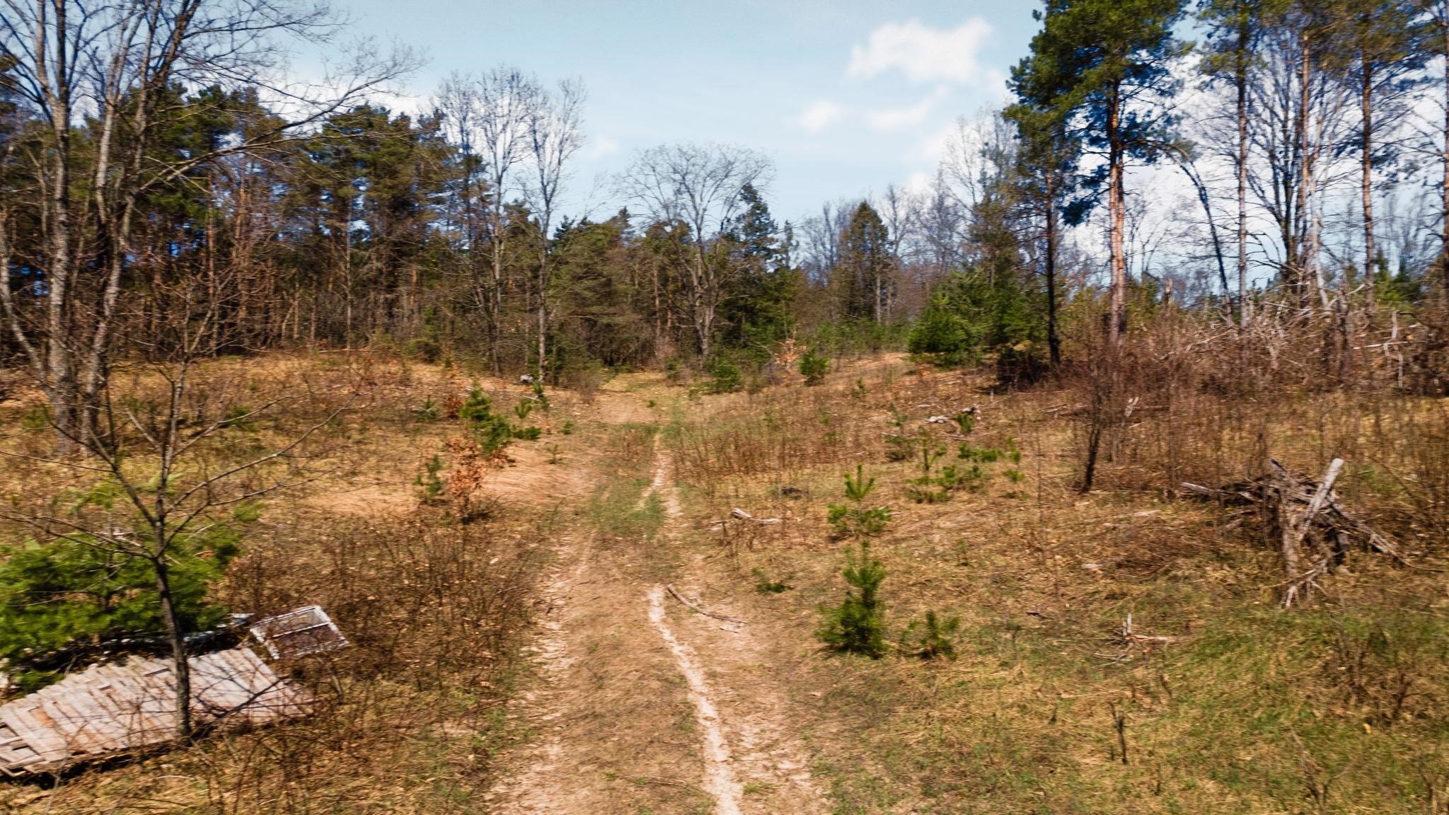 0 Ingersoll Road, Fife Lake, MI, 49633