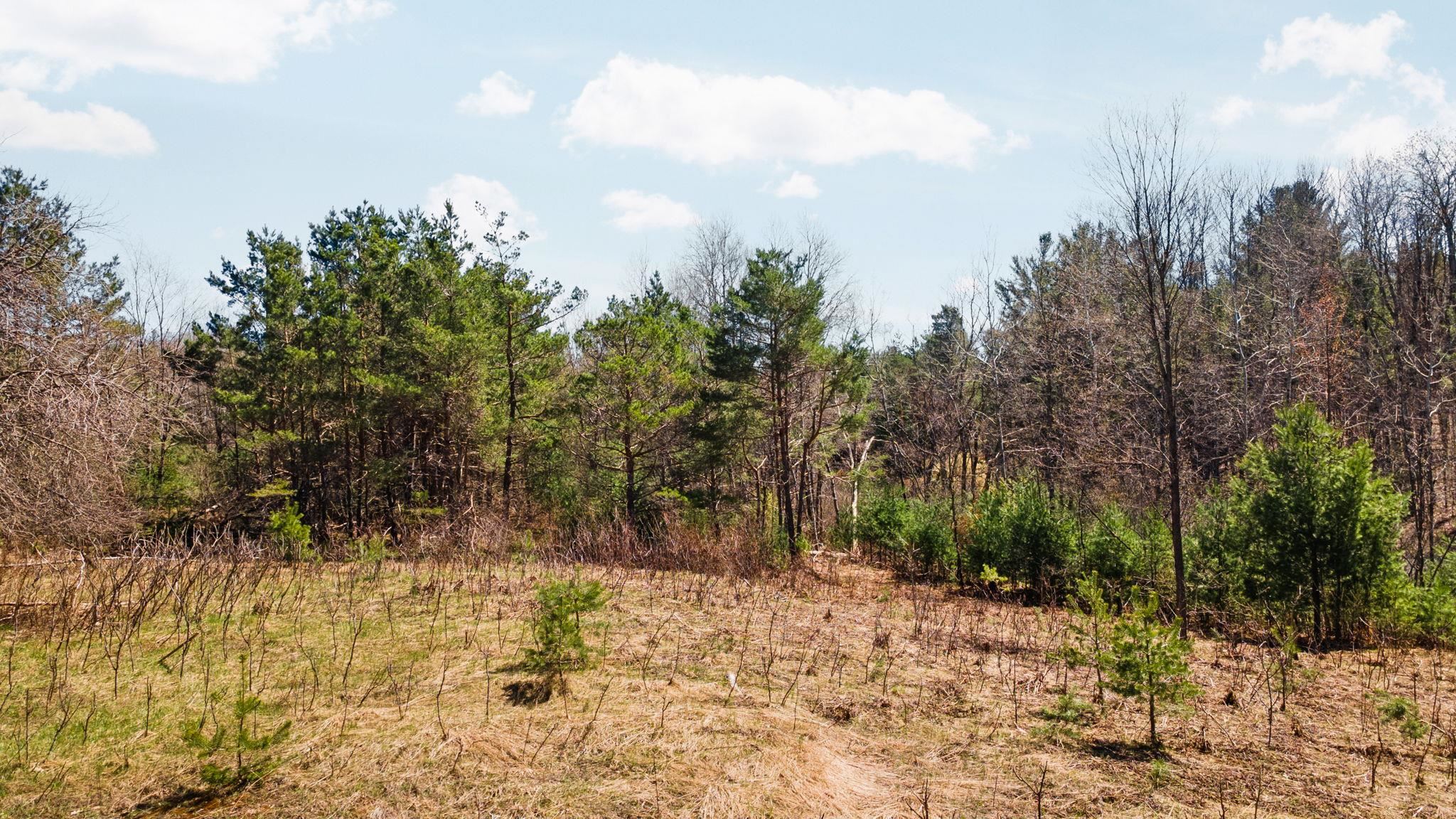 0 Ingersoll Road, Fife Lake, MI, 49633