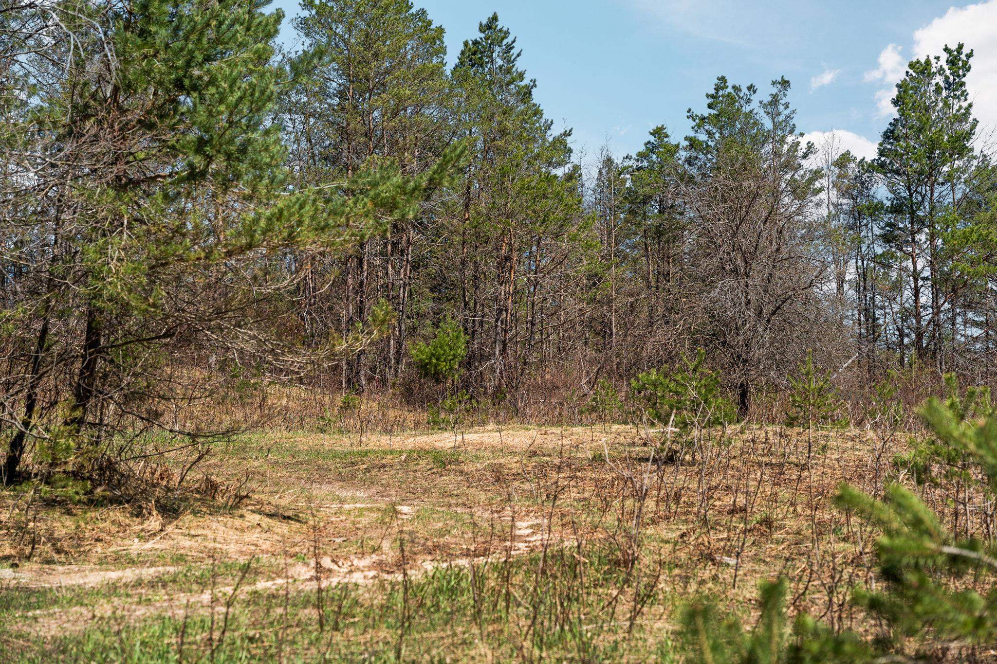 0 Ingersoll Road, Fife Lake, MI, 49633