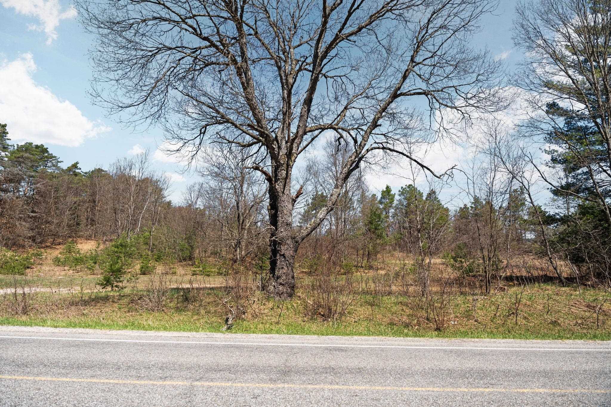 0 Ingersoll Road, Fife Lake, MI, 49633