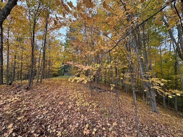 3285 E Torch Lake Drive UNIT&nbsp;Lot: A1-A2, Bellaire, MI, 49615