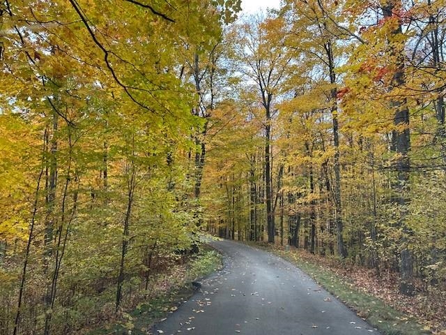 3285 E Torch Lake Drive UNIT&nbsp;Lot: A1-A2, Bellaire, MI, 49615