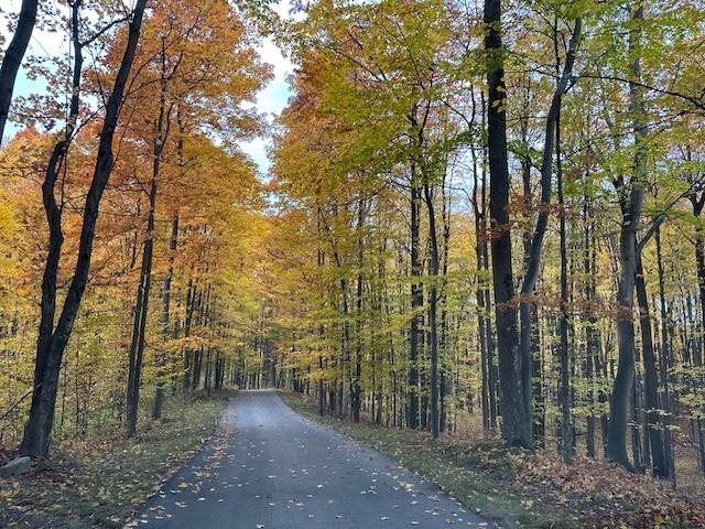 3285 E Torch Lake Drive UNIT&nbsp;Lot: A1-A2, Bellaire, MI, 49615