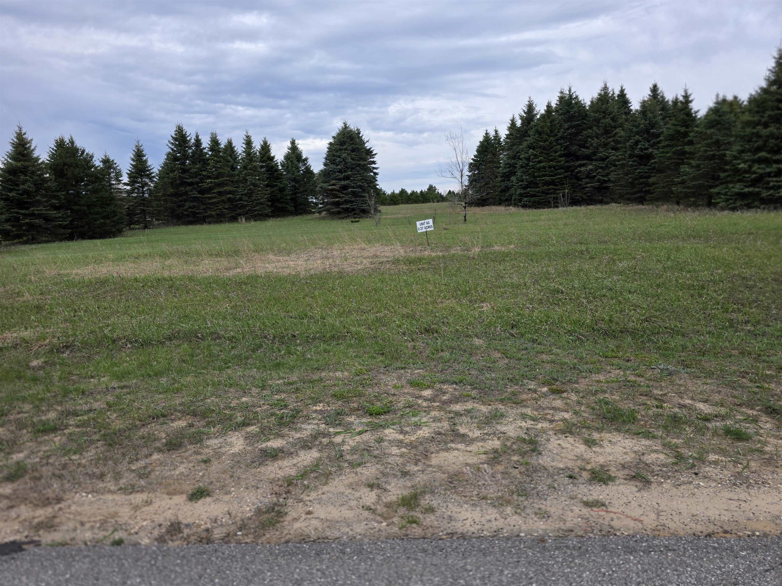 31 SE Blue Heron Drive, Kalkaska, MI, 49646