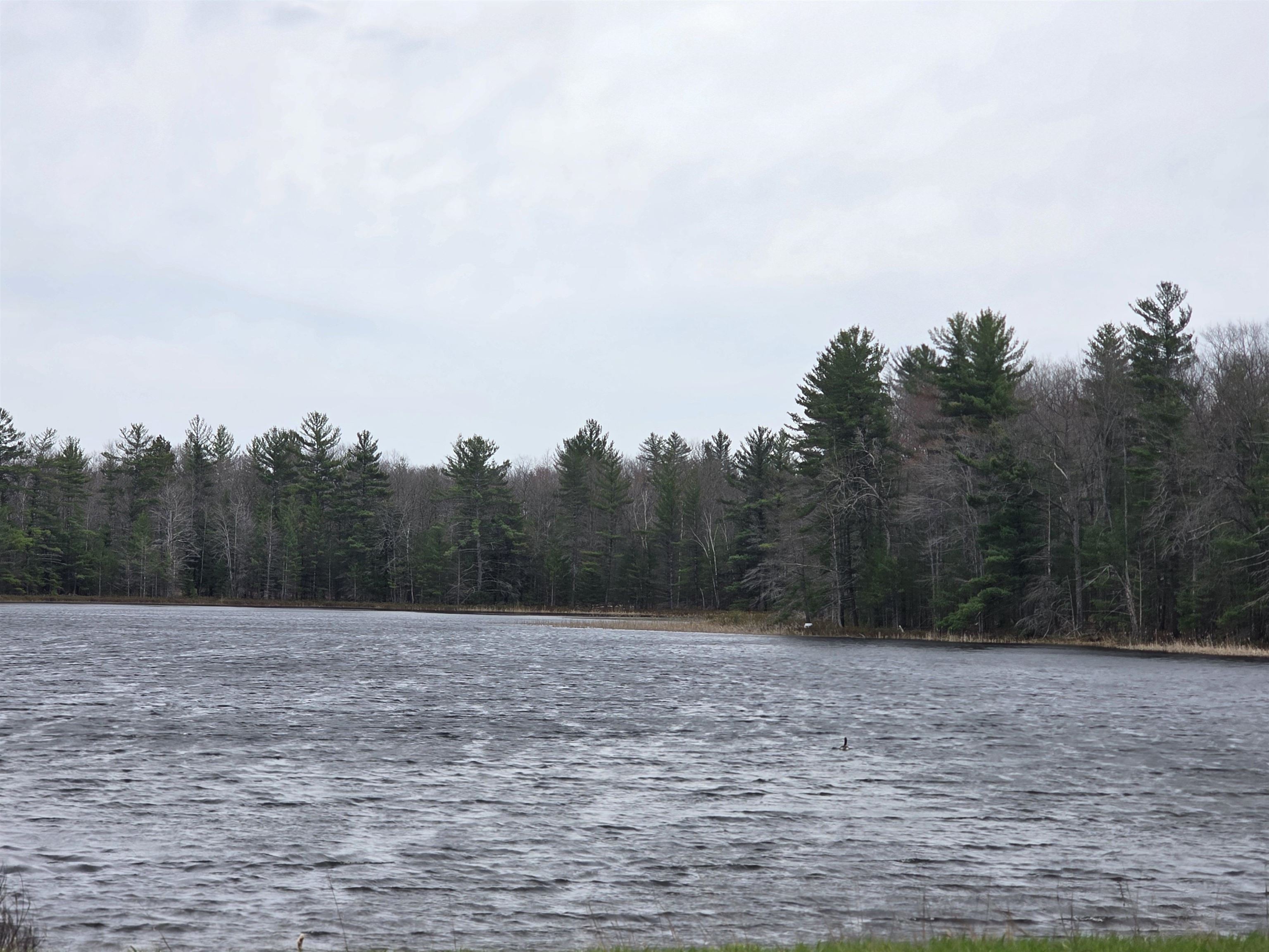 31 SE Blue Heron Drive, Kalkaska, MI, 49646