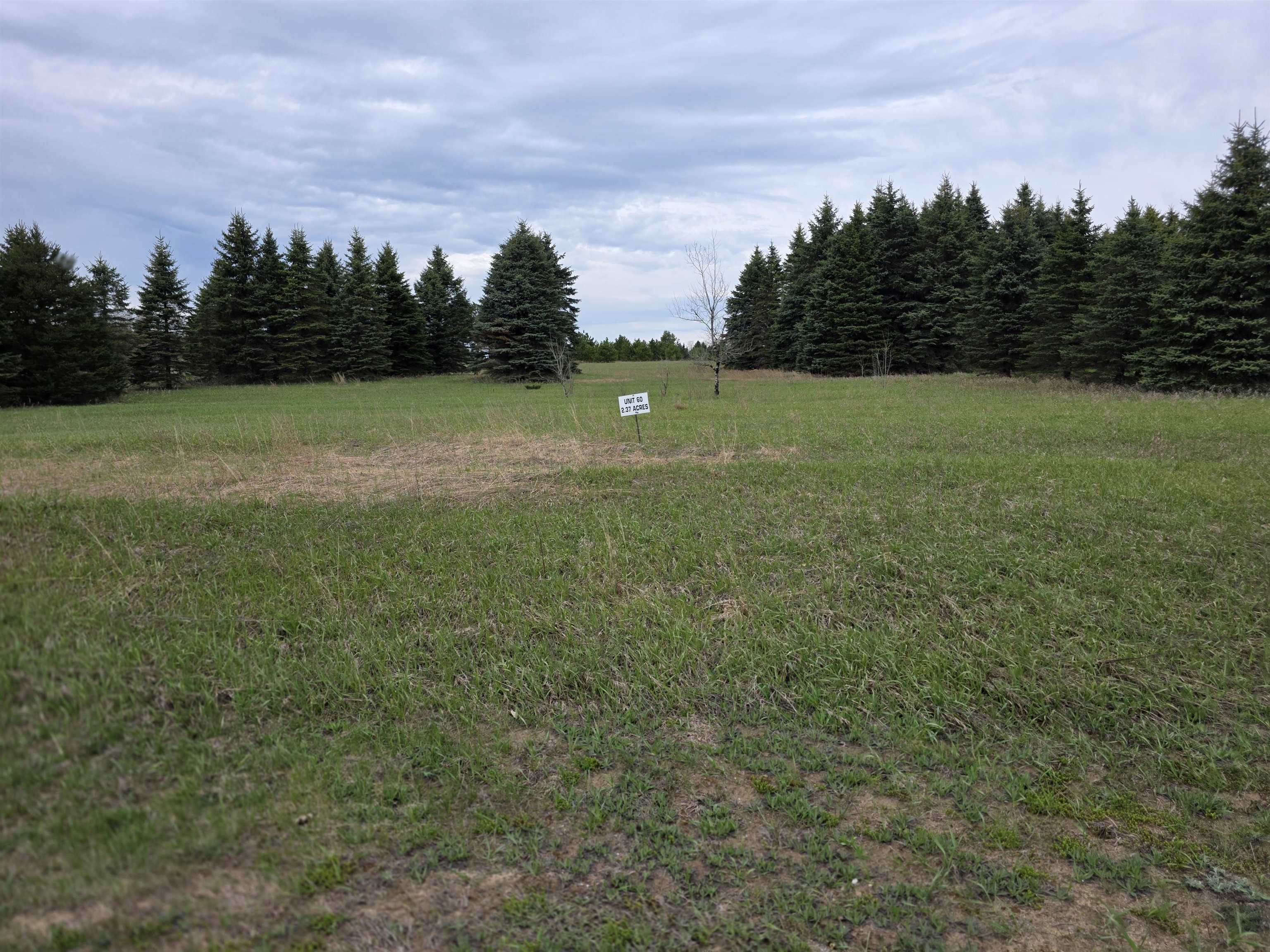 31 SE Blue Heron Drive, Kalkaska, MI, 49646
