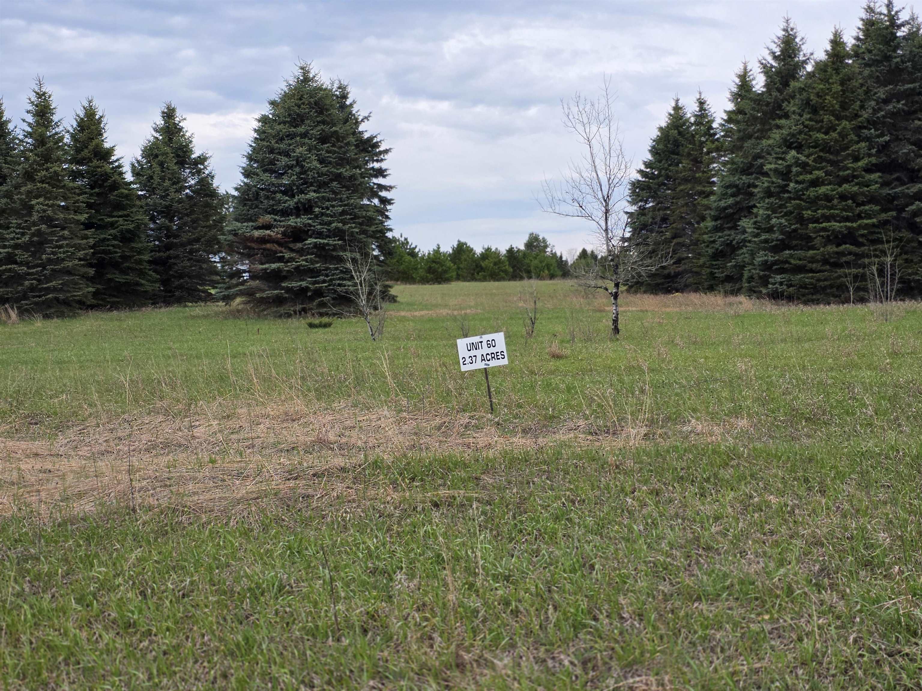 31 SE Blue Heron Drive, Kalkaska, MI, 49646