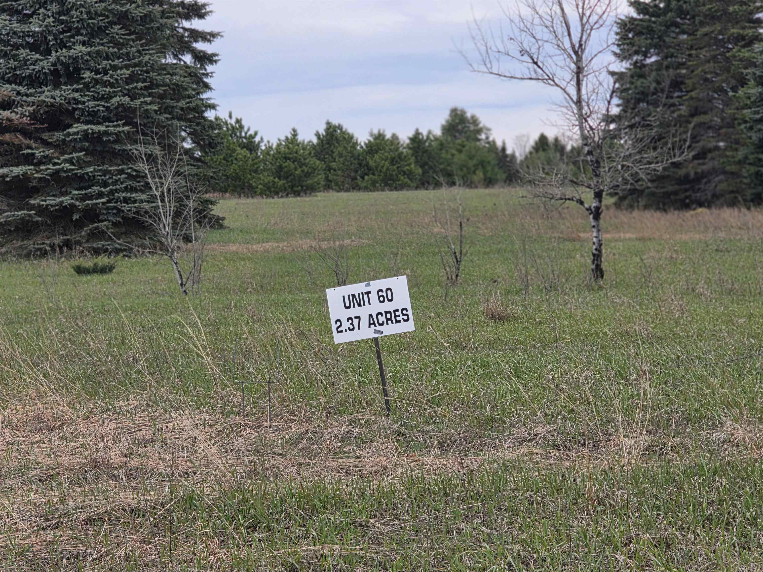 31 SE Blue Heron Drive, Kalkaska, MI, 49646