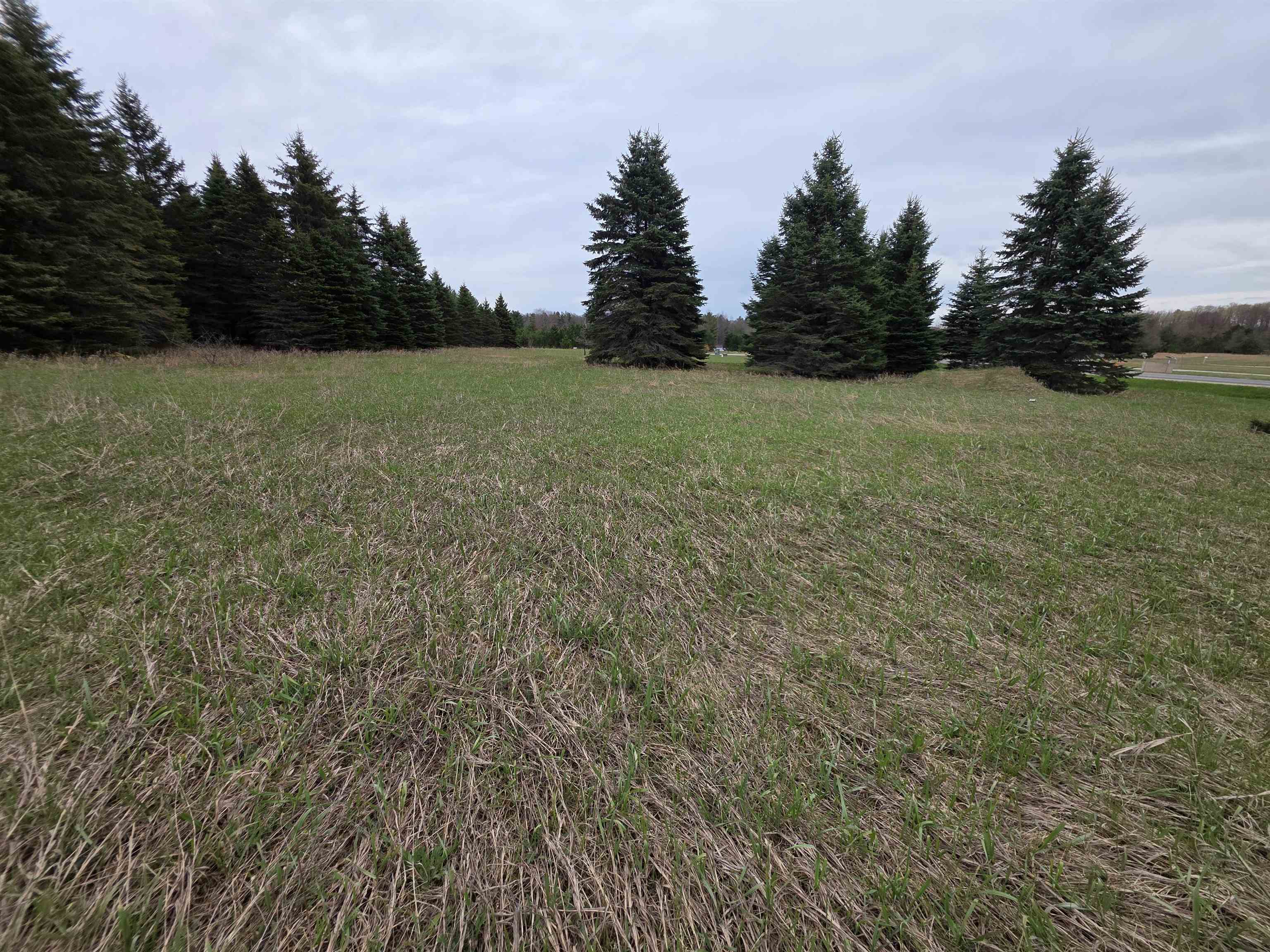31 SE Blue Heron Drive, Kalkaska, MI, 49646